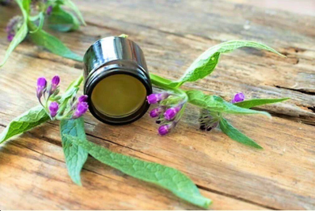 Comfrey Salve Knitbone Ointment Bone Healing Arthritis Joint Pain Fracture Balm - Herbalshire Handmade Herbal Products