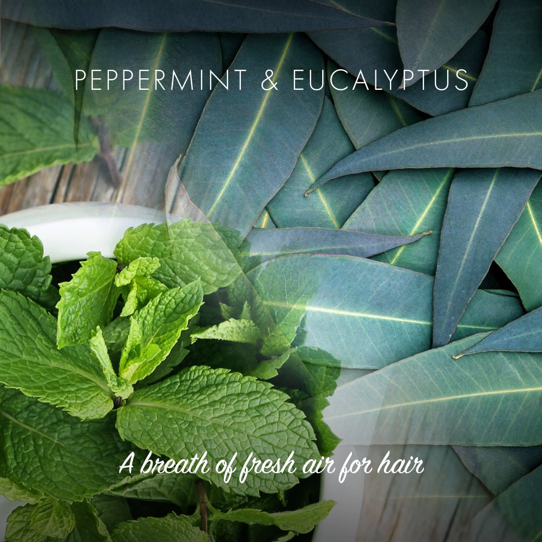 Conditioner Bar - Peppermint & Eucalyptus - Herbalshire Handmade Herbal Products