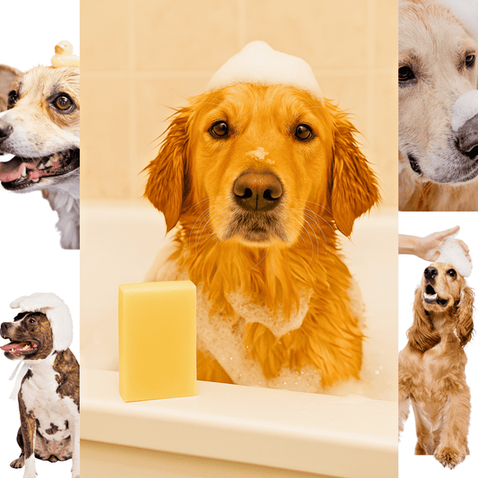 Dog Shampoo Bar Neem & Lemongrass Huge 200g Natural Dog Soap Vegan Grooming UK - Herbalshire Handmade Herbal Products