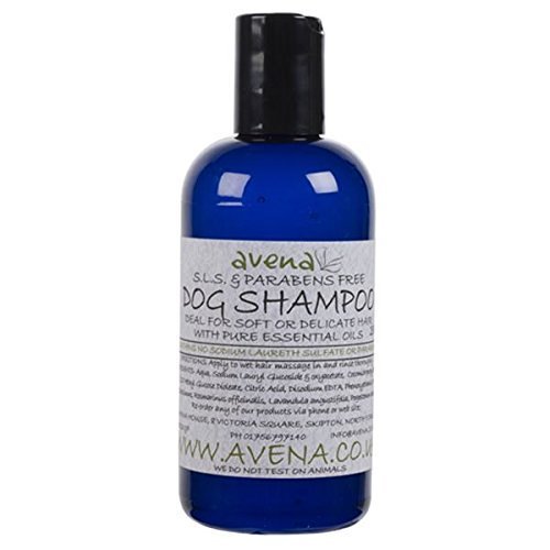Dog Shampoo Essential Oils Delicate Skin Hair 250ml - Natural Kind Shiny Coat - Herbalshire Handmade Herbal Products