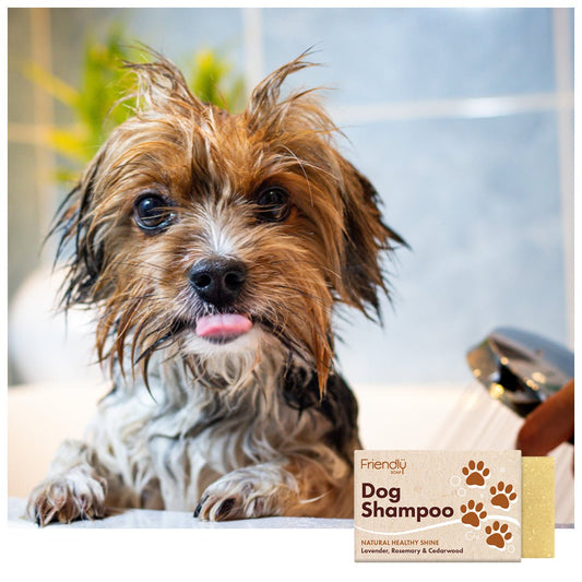 Dog Shampoo - Herbalshire Handmade Herbal Products