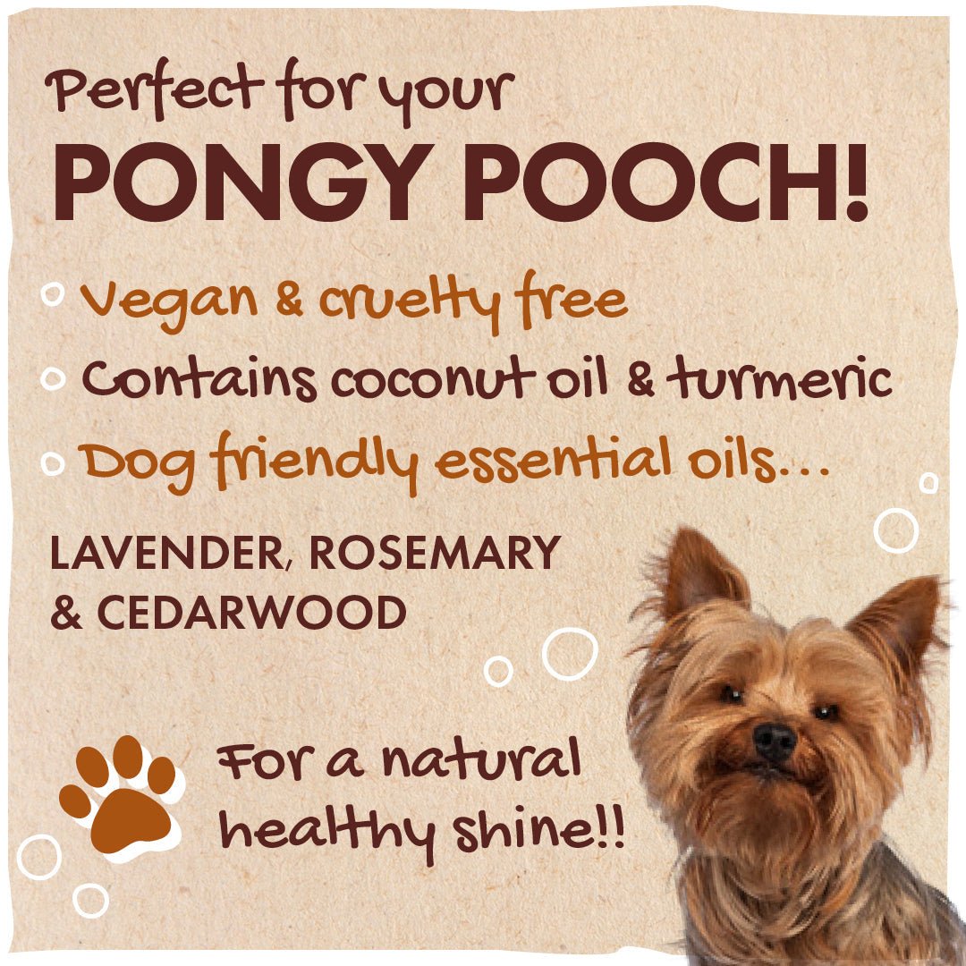 Dog Shampoo - Herbalshire Handmade Herbal Products