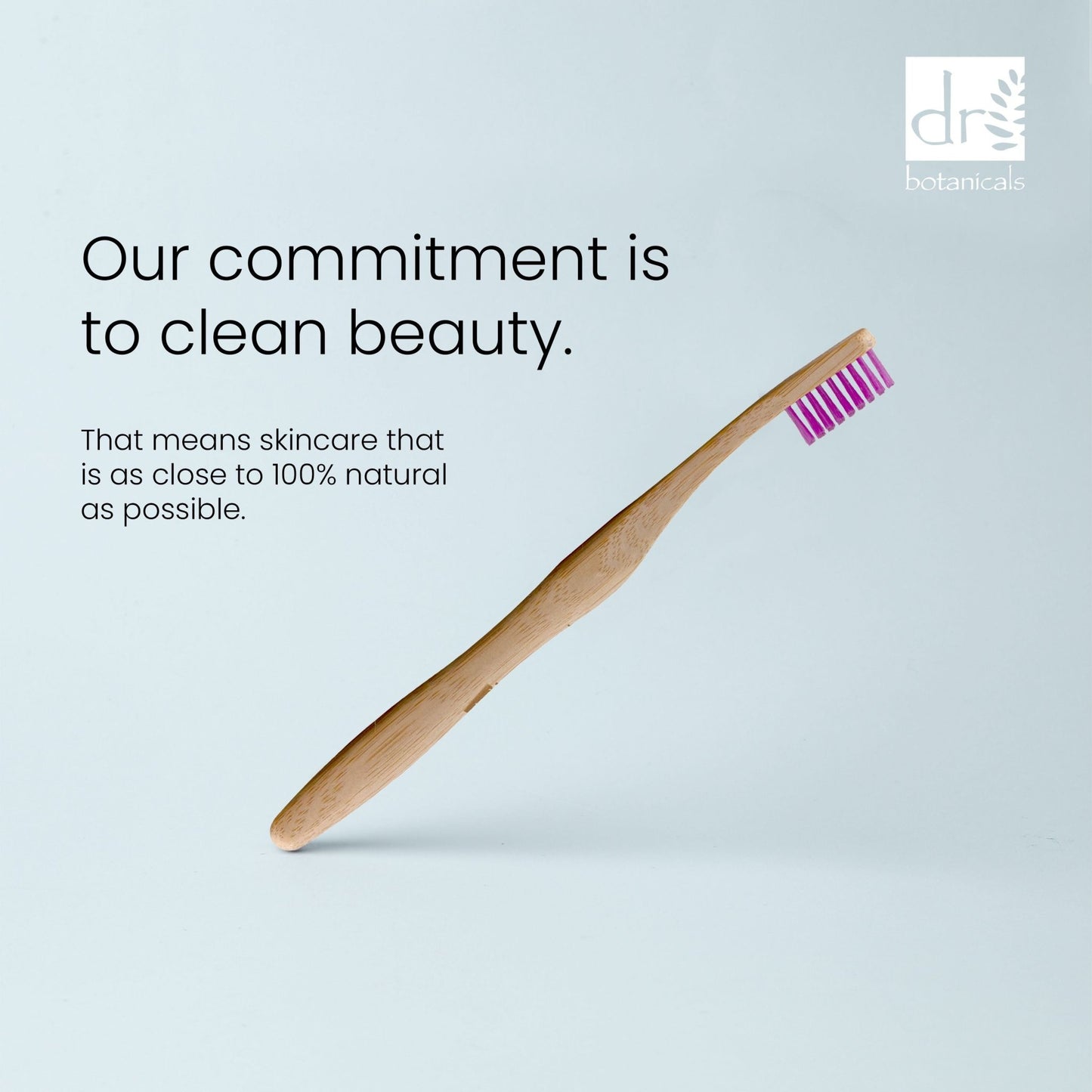 Dr Botanicals Bamboo Toothbrush Purple Twin Value Savings Pack - Herbalshire Handmade Herbal Products