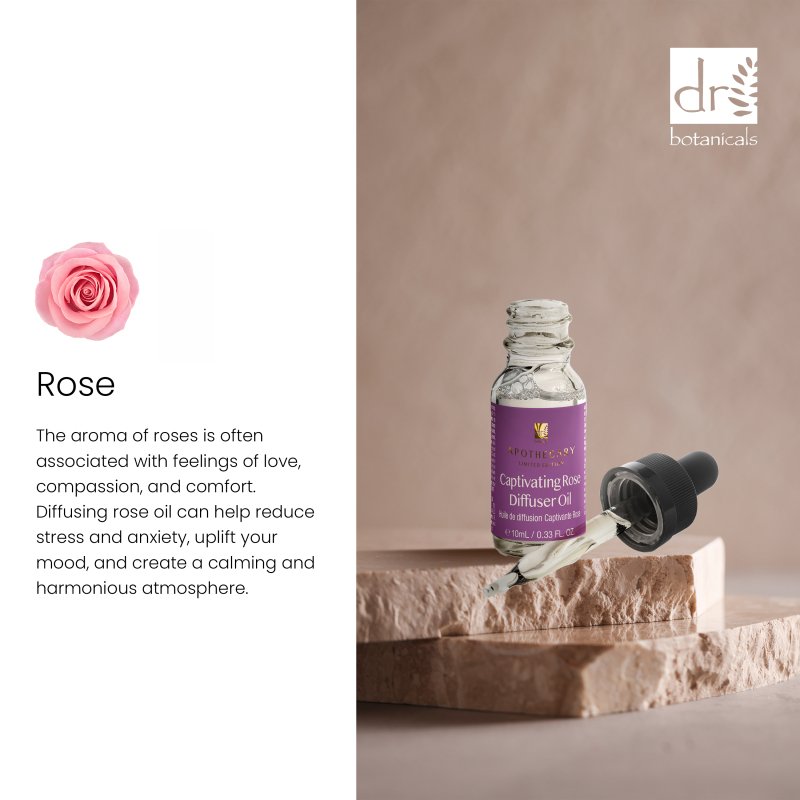 Dr Botanicals Captivating Rose Diffuser Oil 10ml Twin Value Savings Pack - Herbalshire Handmade Herbal Products