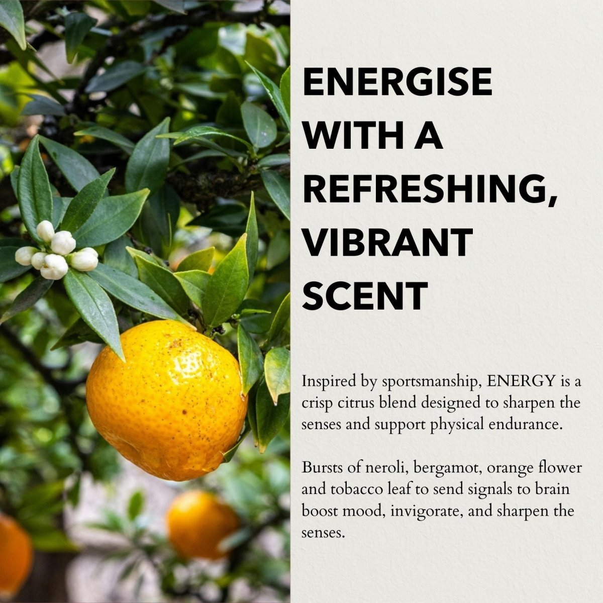 Energy Functional Parfum 10ml - Herbalshire Handmade Herbal Products