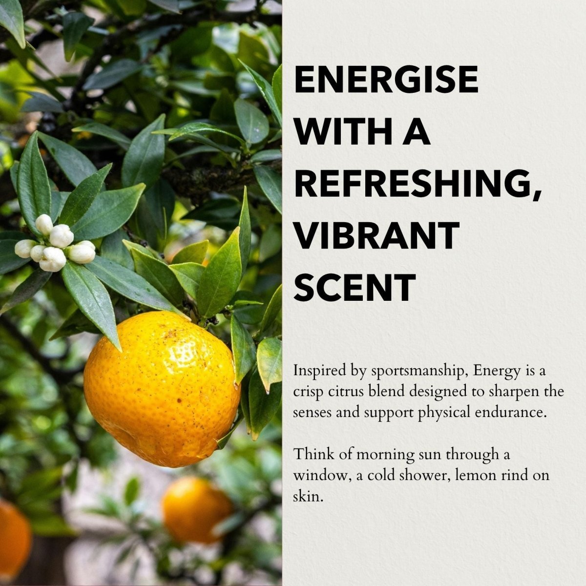 Energy Functional Parfum - Herbalshire Handmade Herbal Products