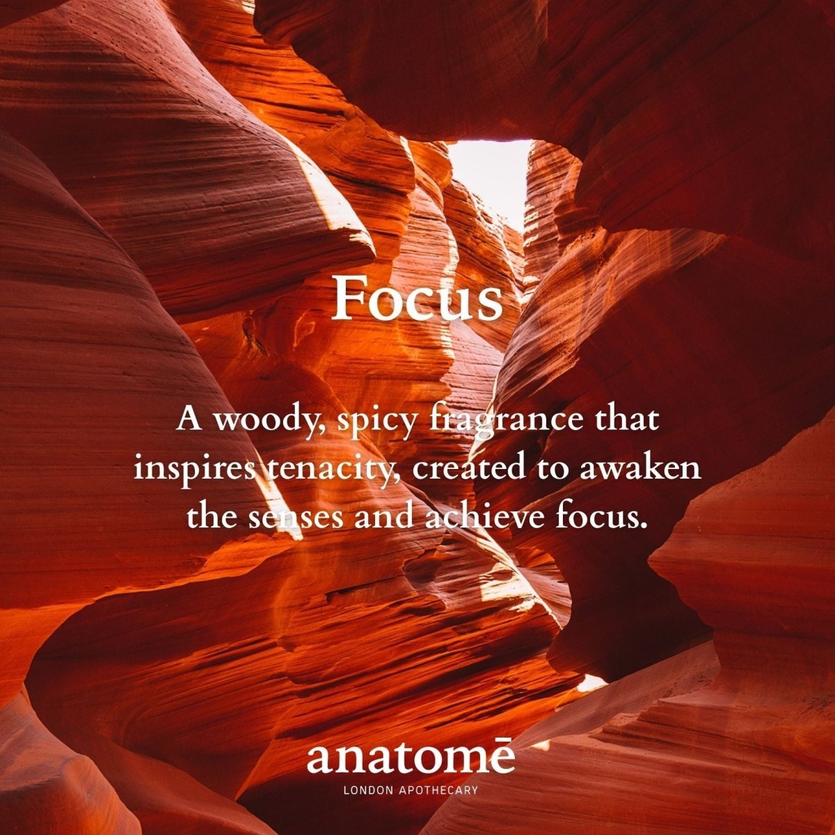 Focus Functional Parfum Travel 10ml - Herbalshire Handmade Herbal Products