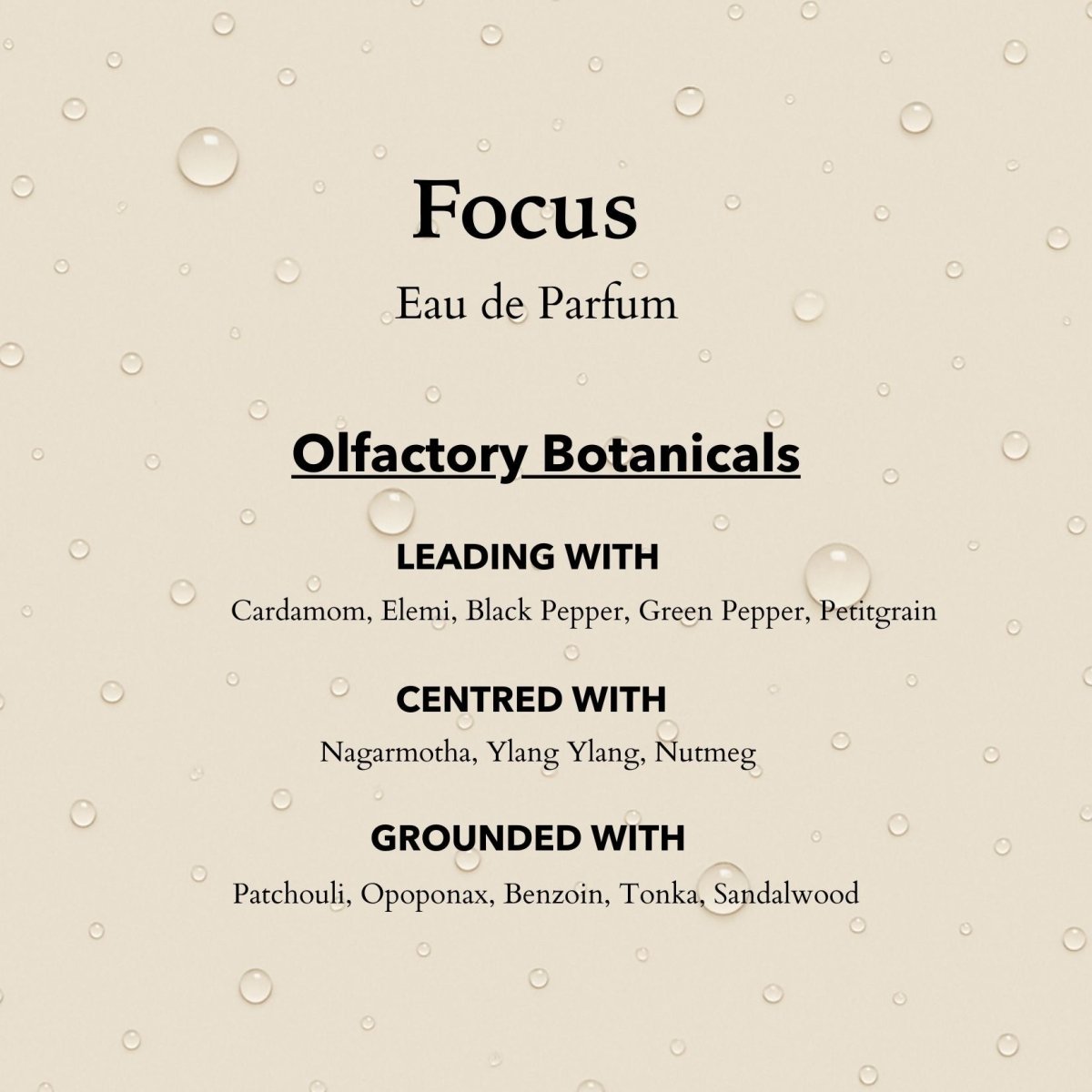 Focus Functional Parfum Travel 10ml - Herbalshire Handmade Herbal Products