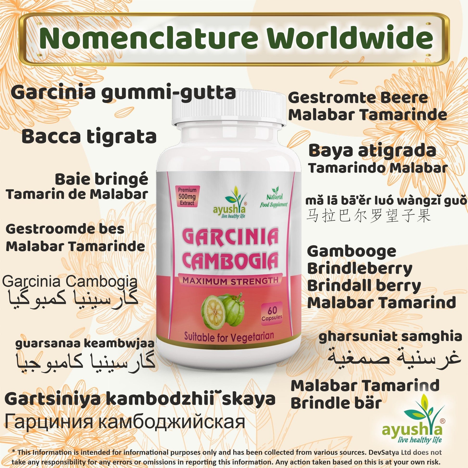 Garcinia Cambogia Capsule - Herbalshire Handmade Herbal Products