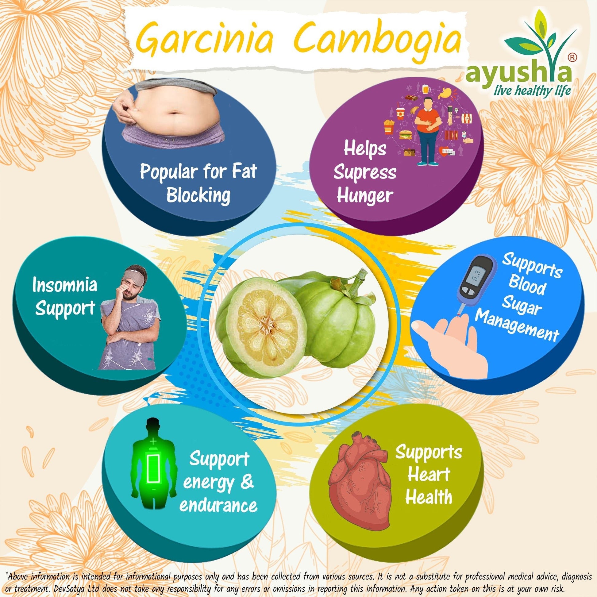 Garcinia Cambogia Capsule - Herbalshire Handmade Herbal Products