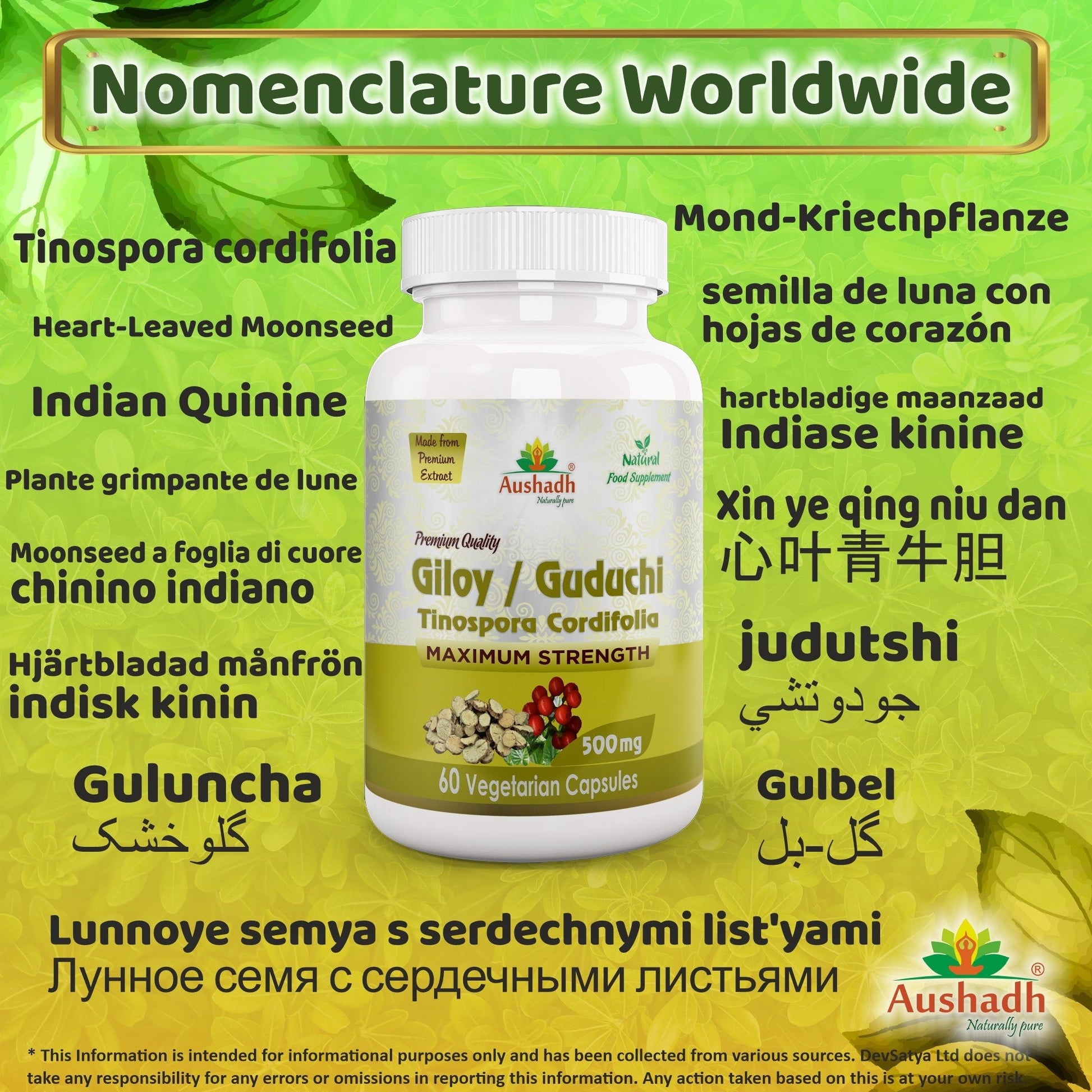 Giloy Guduchi Capsule (Tinospora Cordifolia) - Herbalshire Handmade Herbal Products