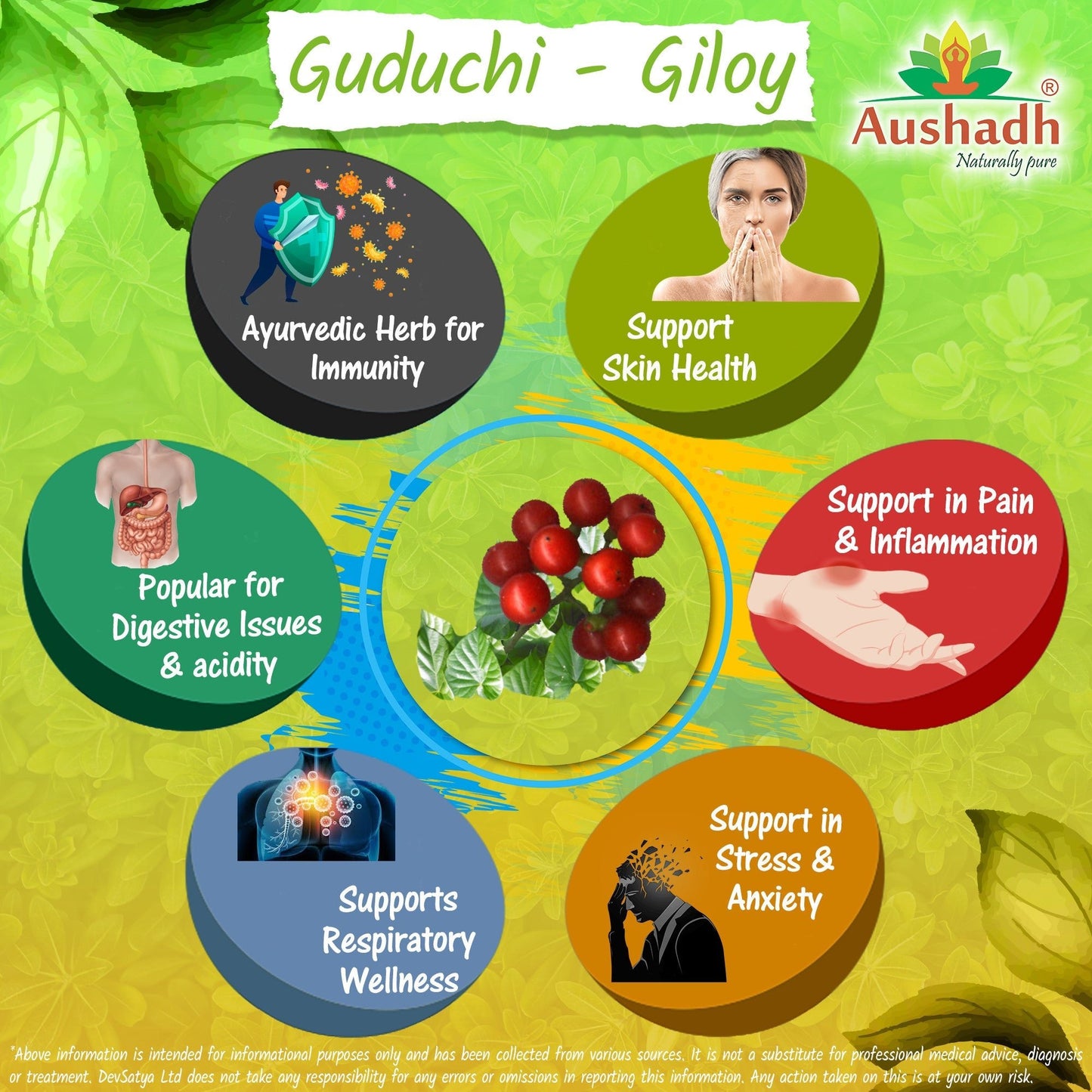 Giloy Guduchi Capsule (Tinospora Cordifolia) - Herbalshire Handmade Herbal Products