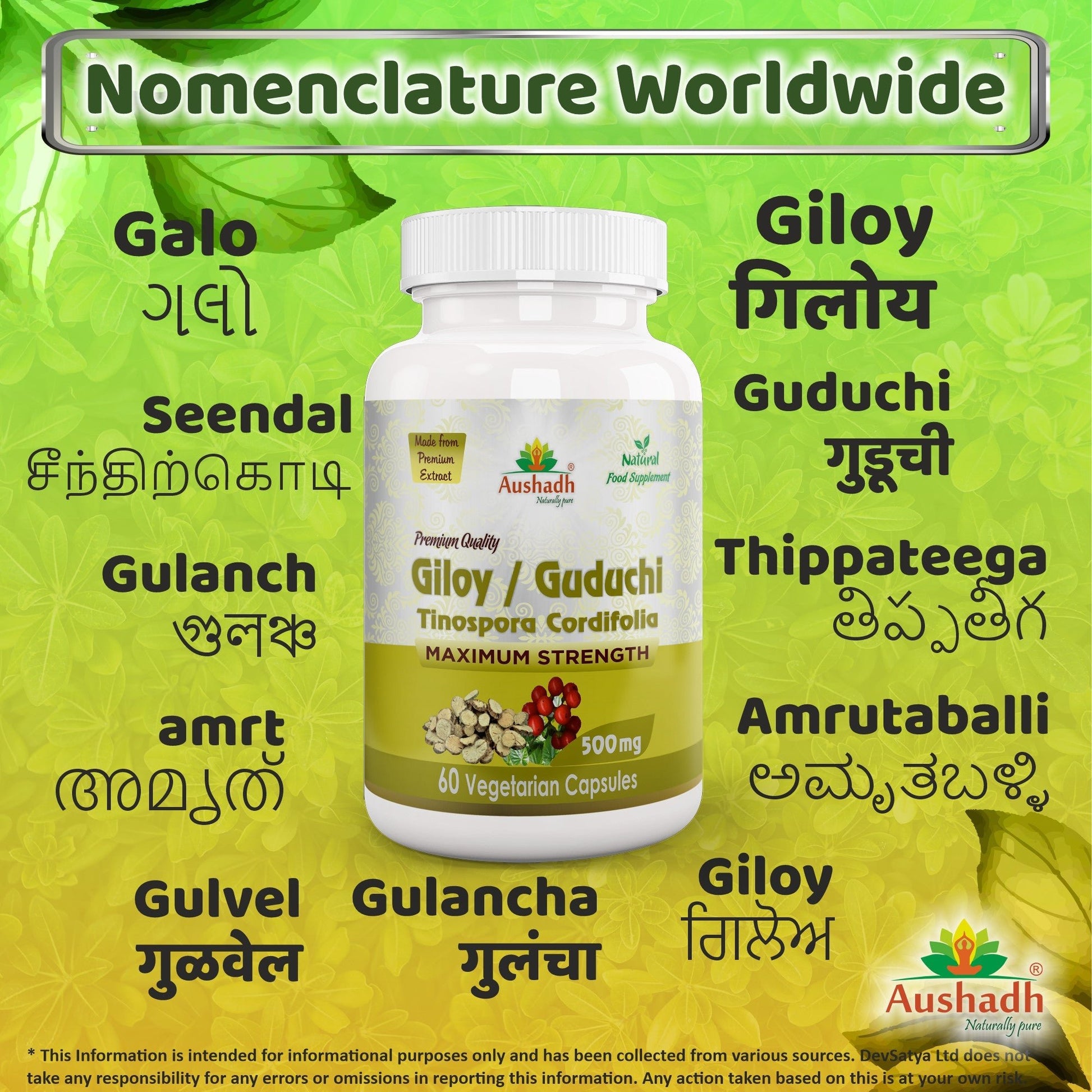 Giloy Guduchi Capsule (Tinospora Cordifolia) - Herbalshire Handmade Herbal Products