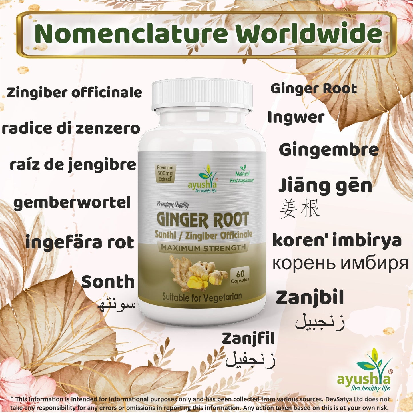 Ginger Root (Sunthi) Capsule - Herbalshire Handmade Herbal Products