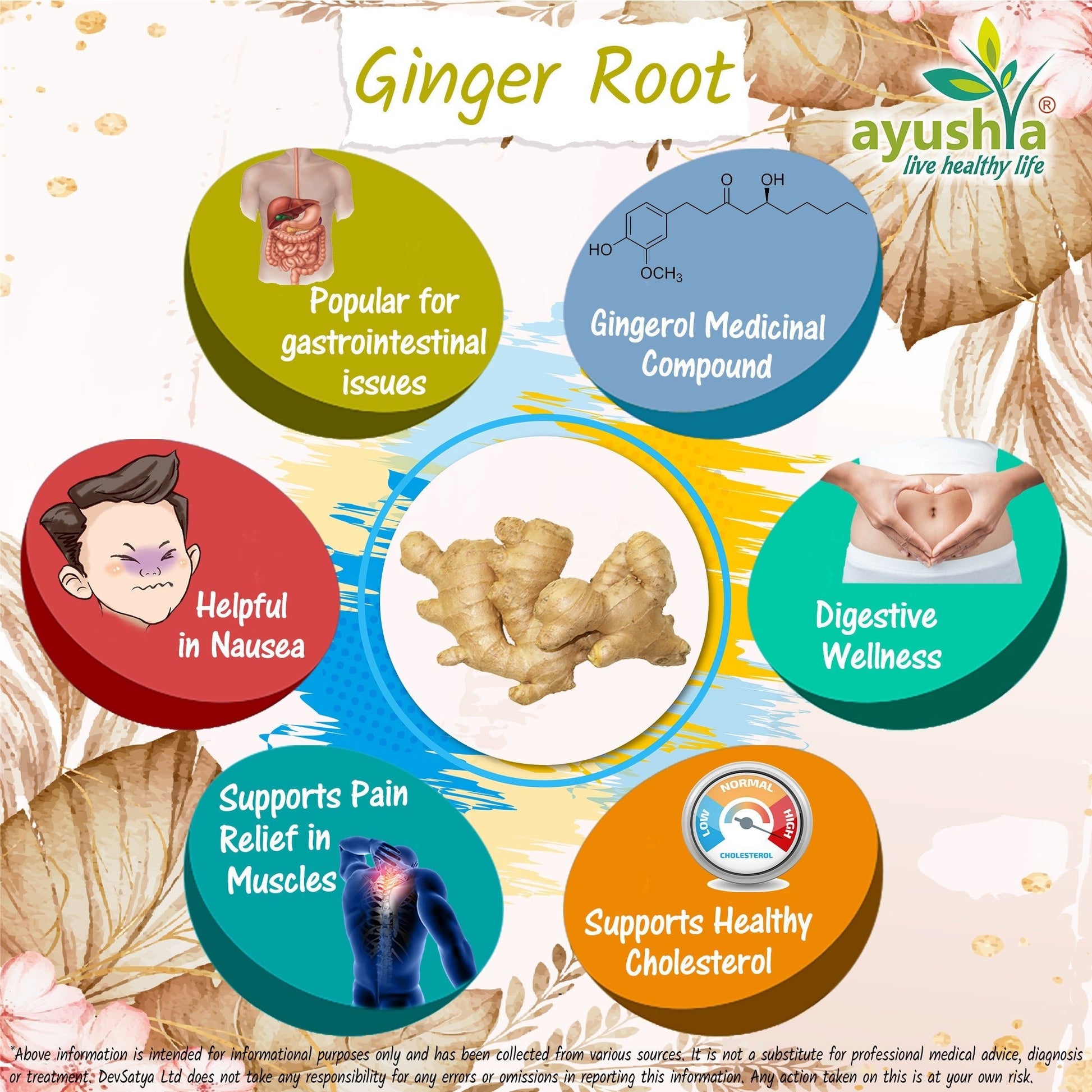 Ginger Root (Sunthi) Capsule - Herbalshire Handmade Herbal Products
