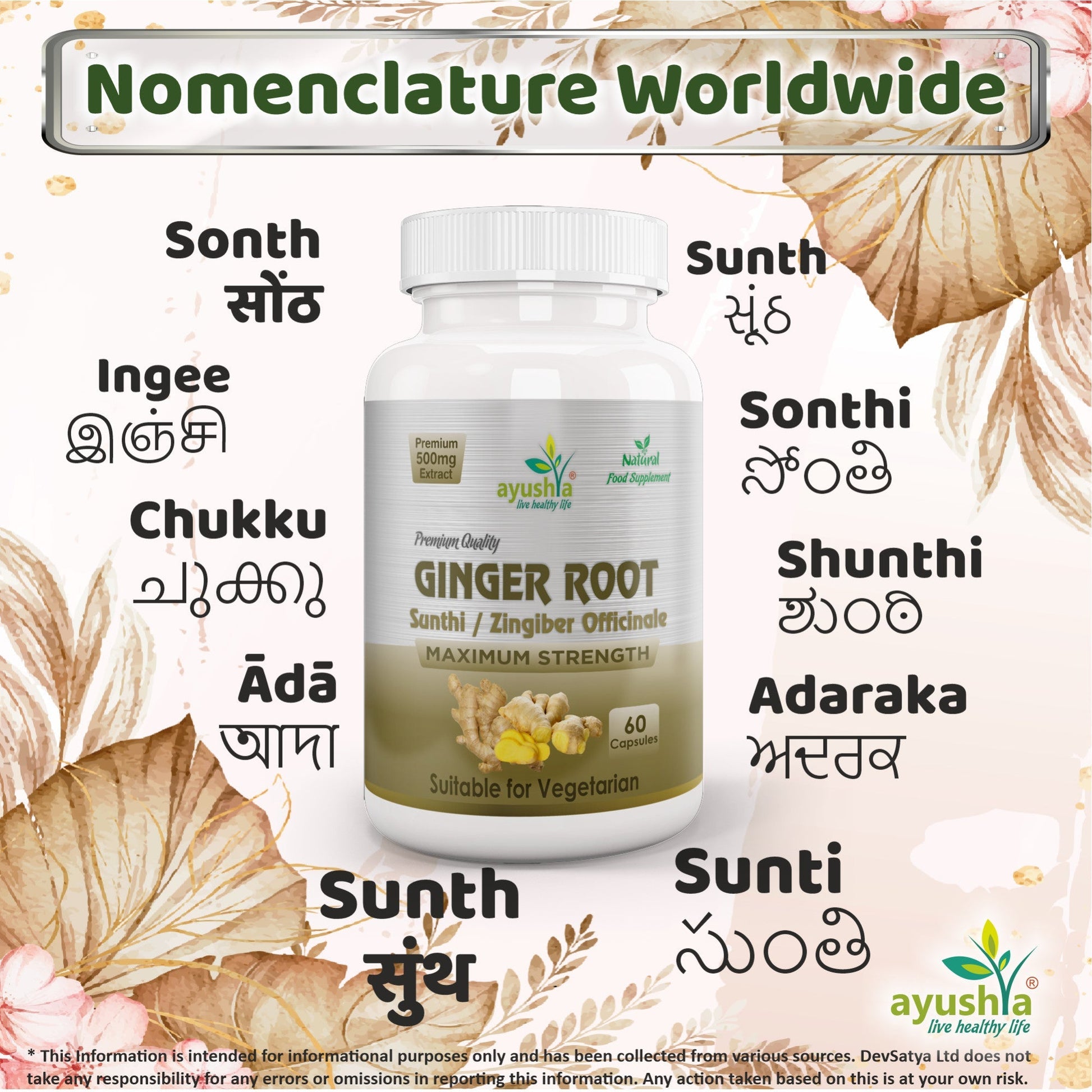 Ginger Root (Sunthi) Capsule - Herbalshire Handmade Herbal Products