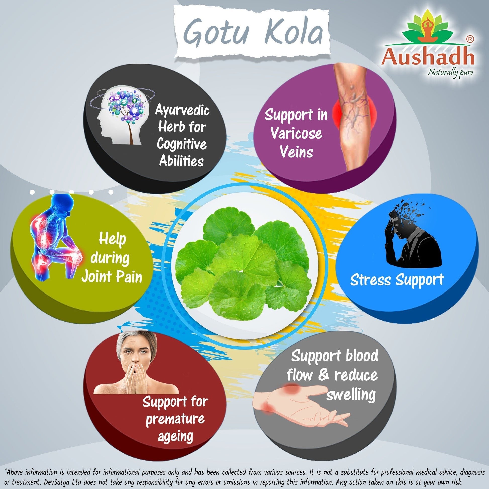 Gotukola Capsule - Herbalshire Handmade Herbal Products
