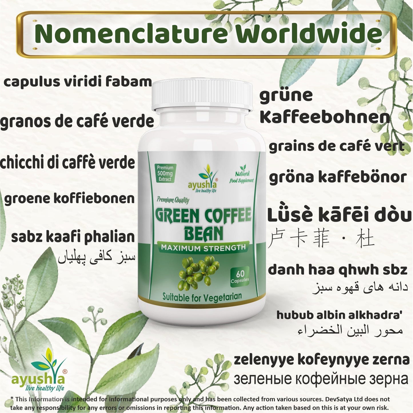 Green Coffee Bean Capsule - Herbalshire Handmade Herbal Products