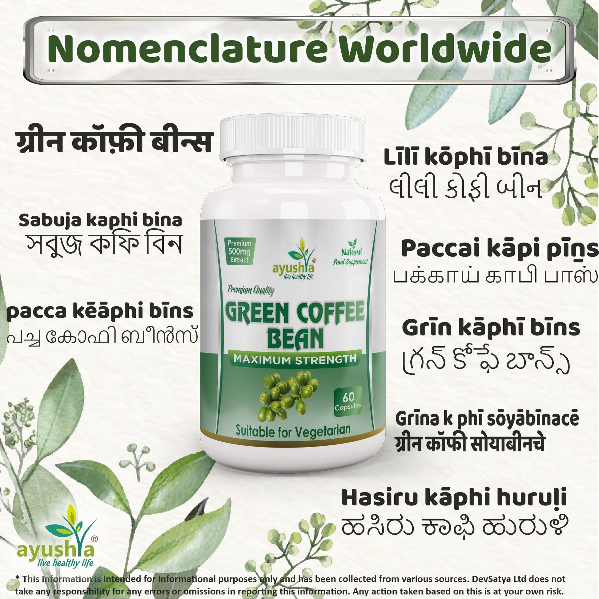 Green Coffee Bean Capsule - Herbalshire Handmade Herbal Products
