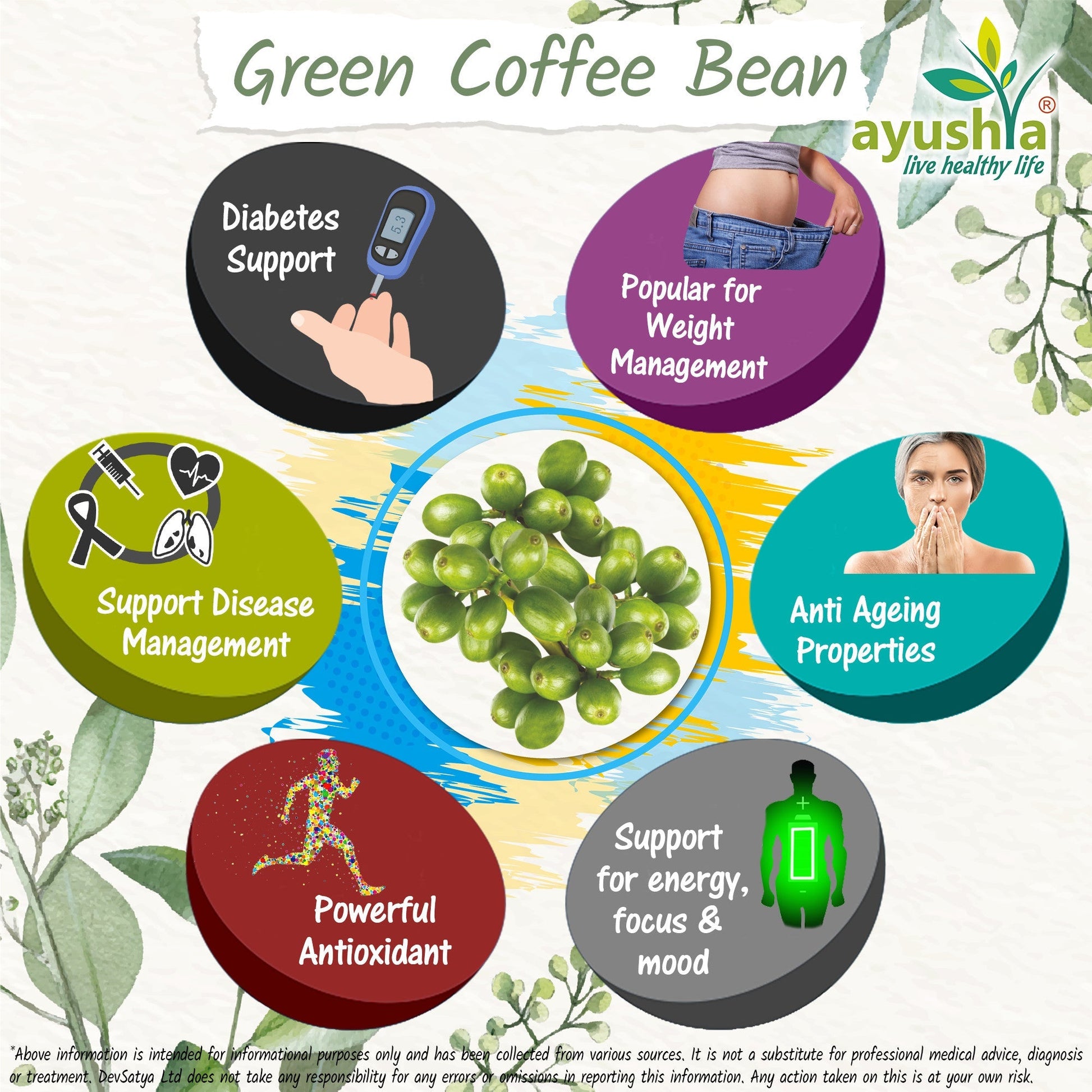 Green Coffee Bean Capsule - Herbalshire Handmade Herbal Products