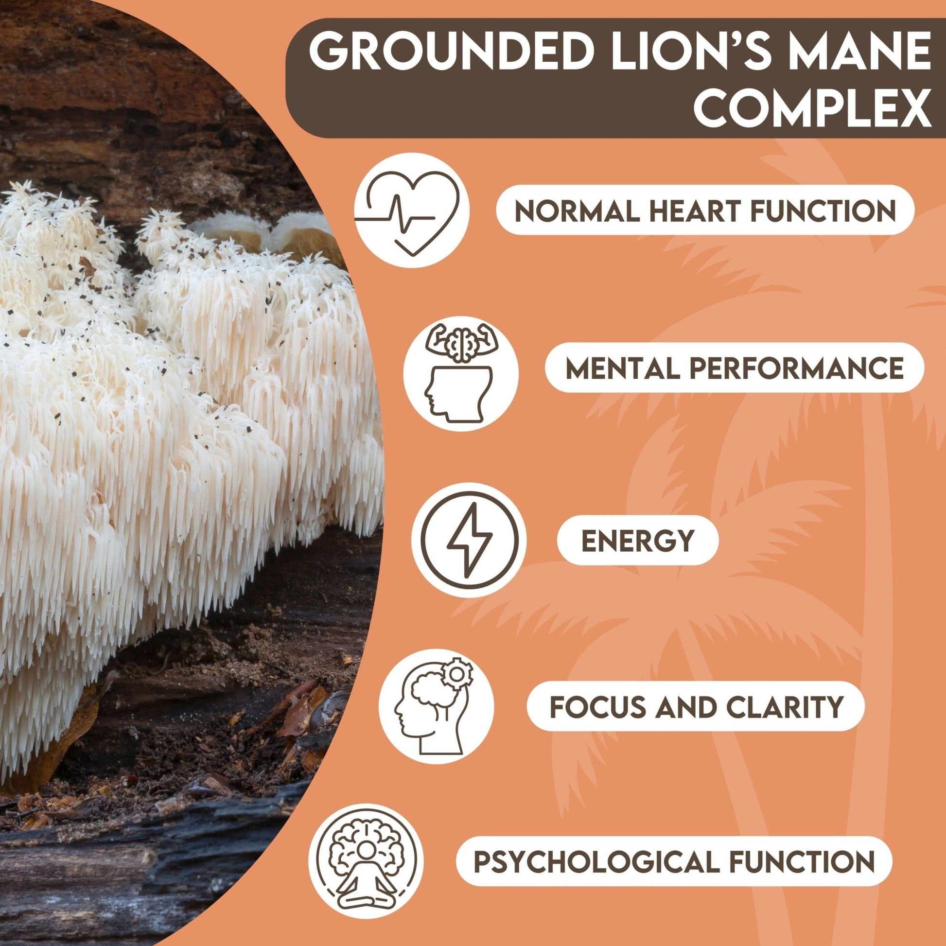 Grounded Lion’s Mane 4000mg Tablets – Natural Brain & Focus Support - Herbalshire Handmade Herbal Products