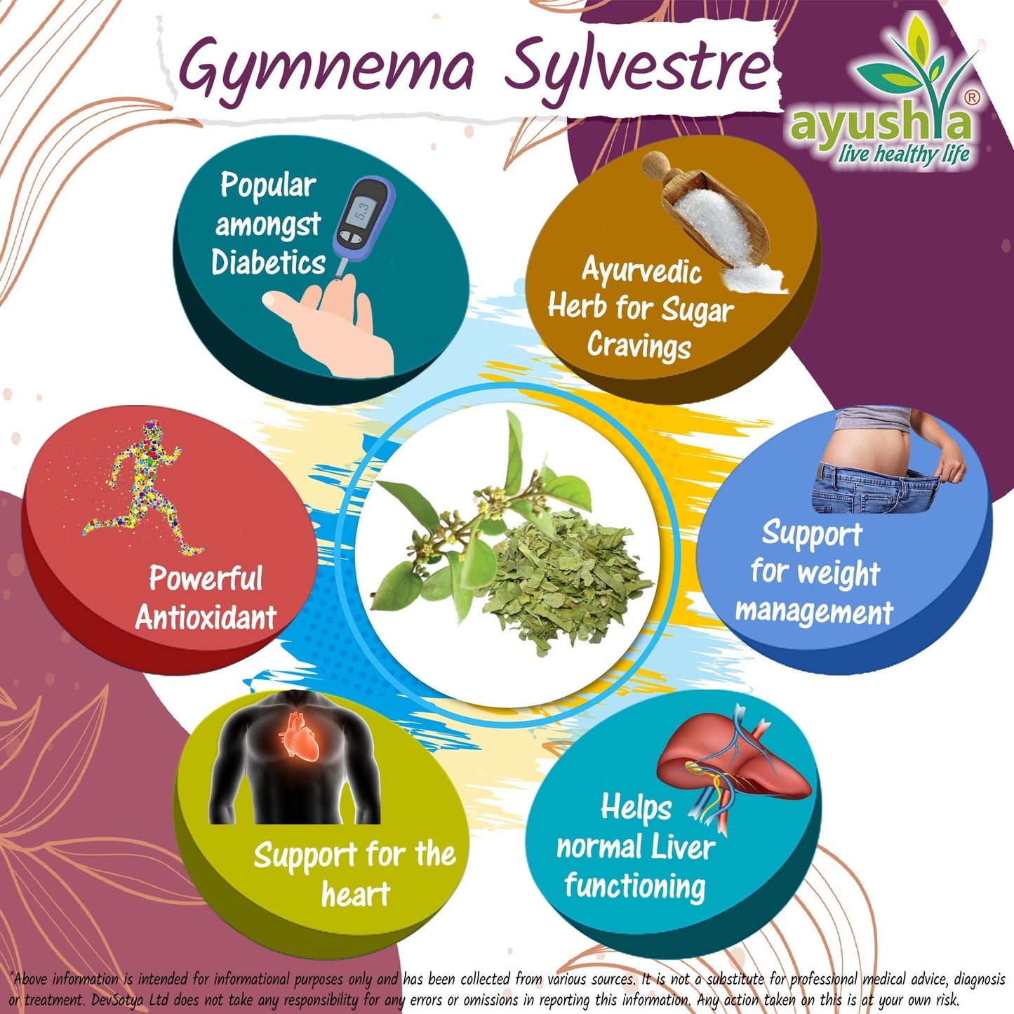 Gymnema Sylvestre (Madhunaashini) Capsule - Herbalshire Handmade Herbal Products