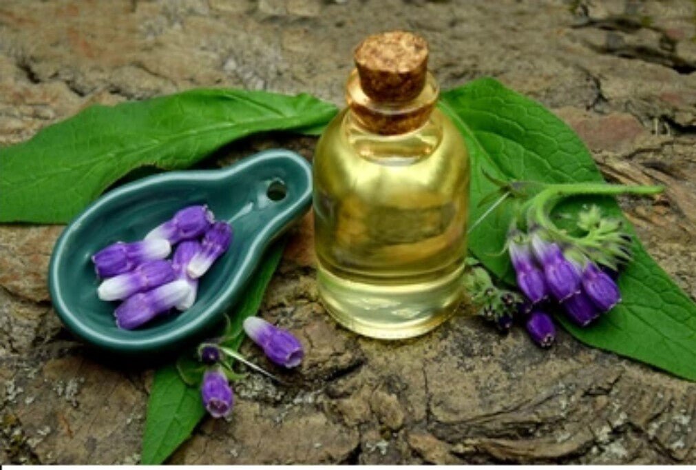Herbal Lip Oil Lotion Natural Cold Sore Relief - Prevents and Soothes Cold Sores - Herbalshire Handmade Herbal Products