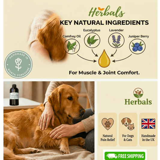Herbalshire Animal Ache Oil | Natural Joint & Arthritis Relief for Dogs & Cats - Herbalshire Handmade Herbal Products
