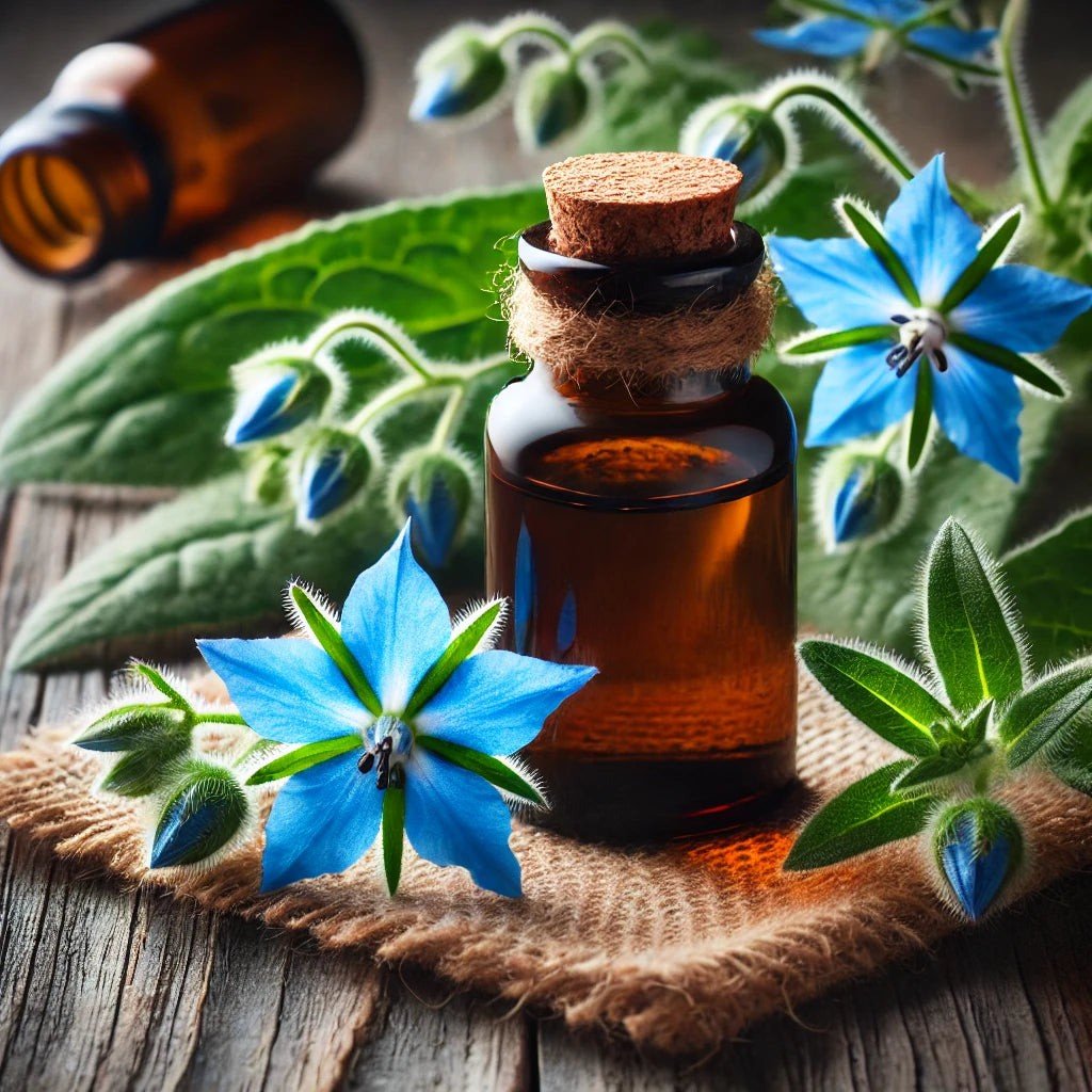 Herbalshire Borage Oil (Starflower Oil) - 100ml - 100% Natural Cold - Pressed - H - Herbalshire Handmade Herbal Products
