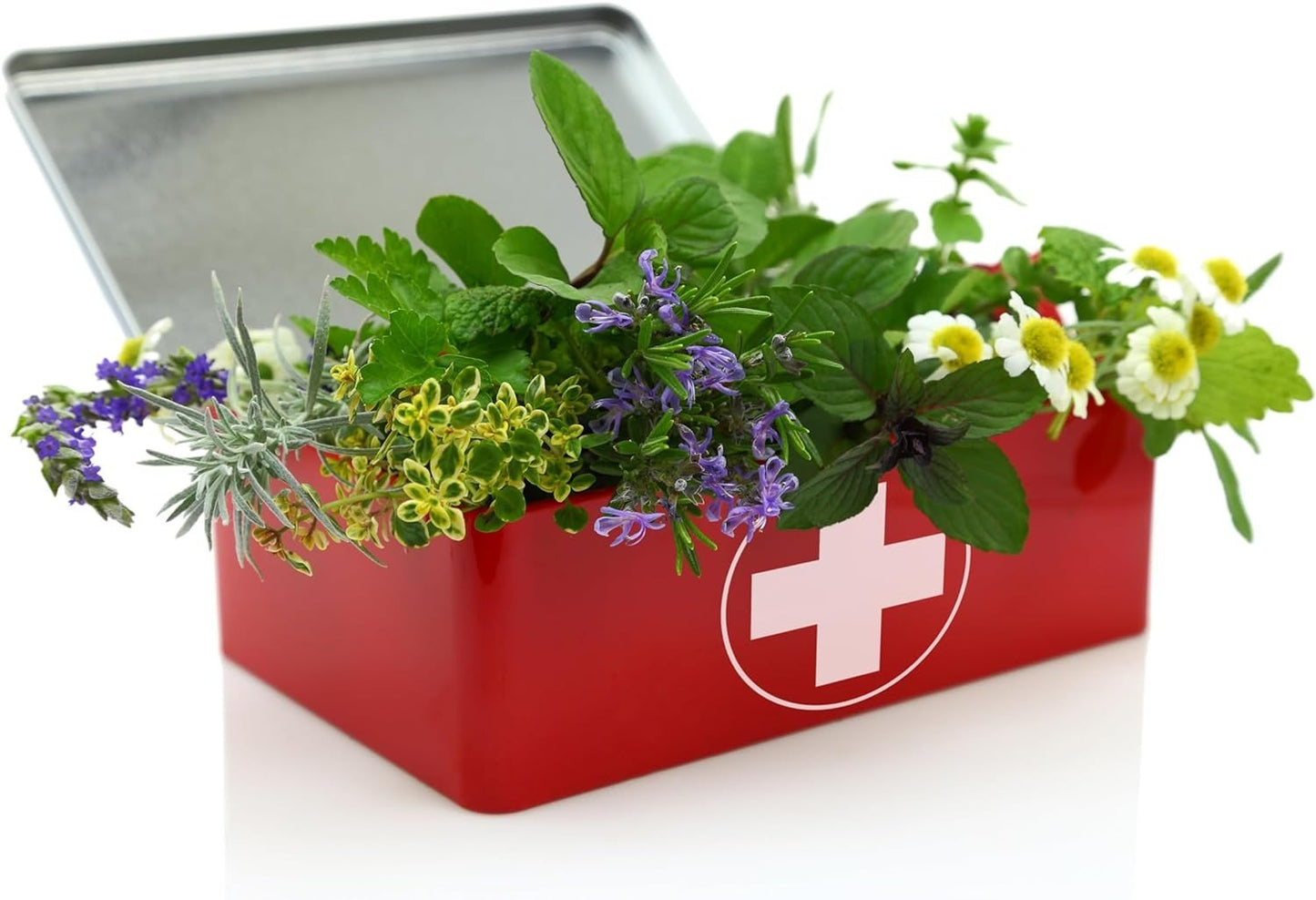 Herbalshire Premium Arnica Ointment & Oil - Natural Relief for Bruising & Swell - Herbalshire Handmade Herbal Products