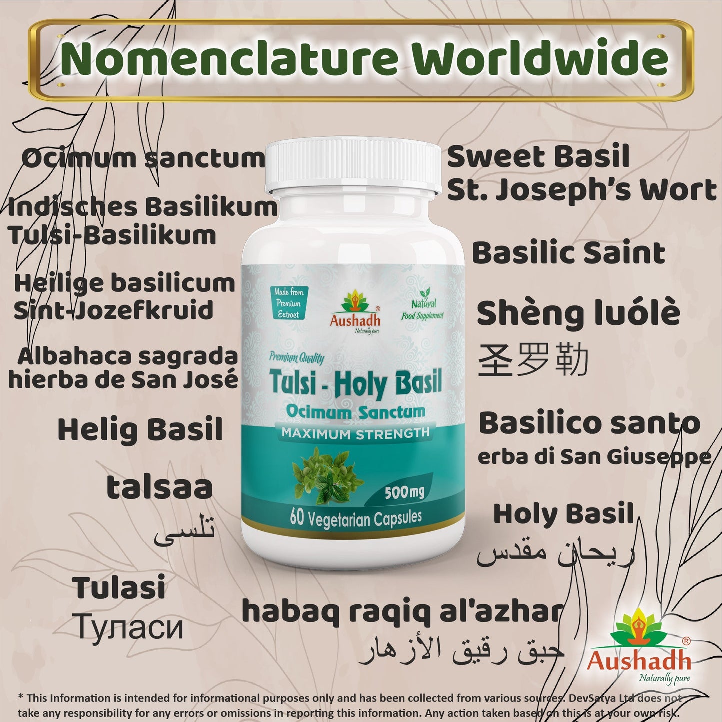 Holy Basil (Tulsi) Capsule - Herbalshire Handmade Herbal Products