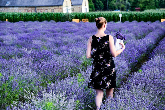 Lavender Cream Sleep Aid Hand Skin Baby All Natural Organic Massage Eczema - Herbalshire Handmade Herbal Products
