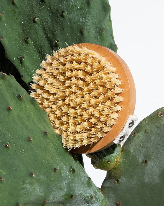 Lymph - Lite Dry Body Brush - Herbalshire Handmade Herbal Products