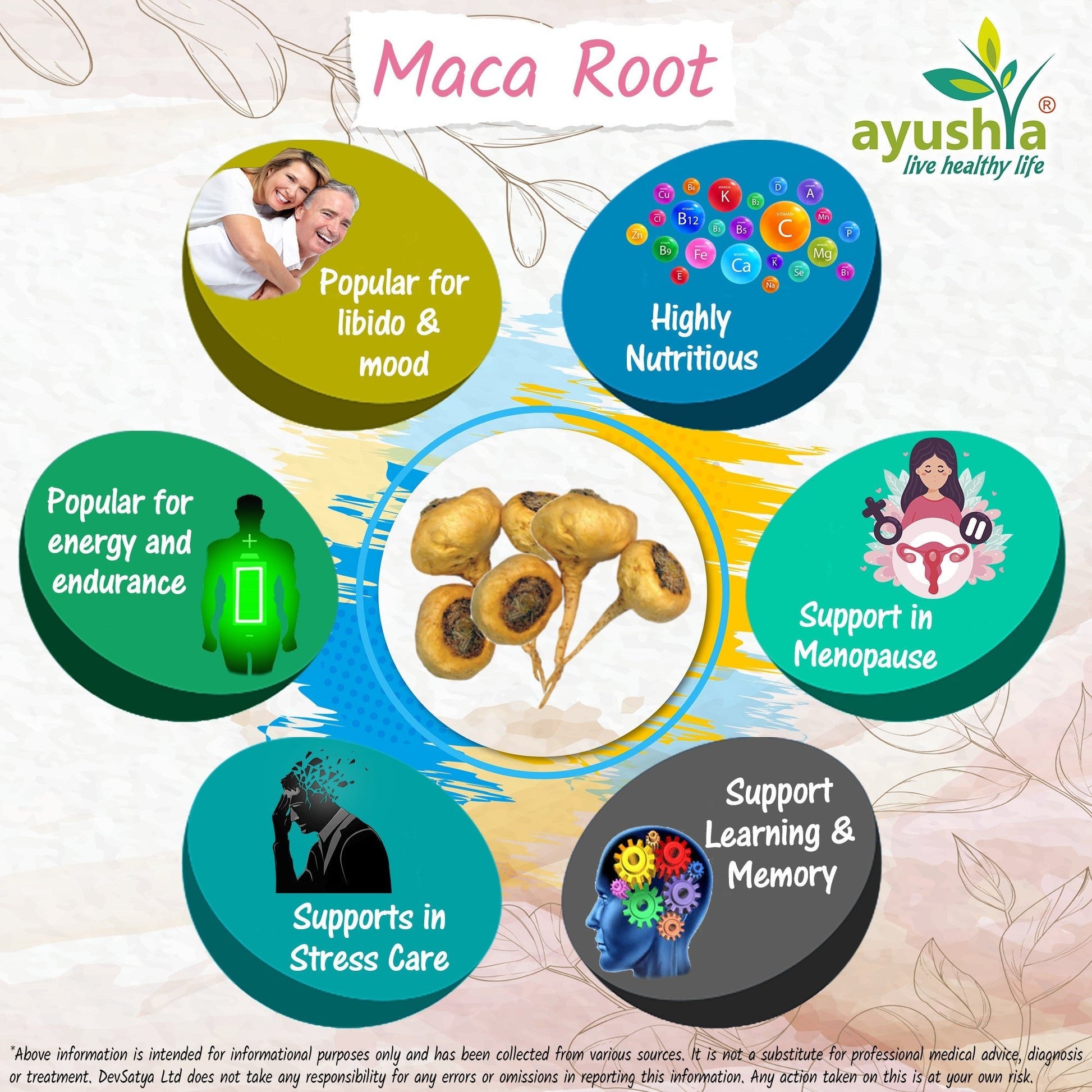 Maca Root Capsule - Herbalshire Handmade Herbal Products