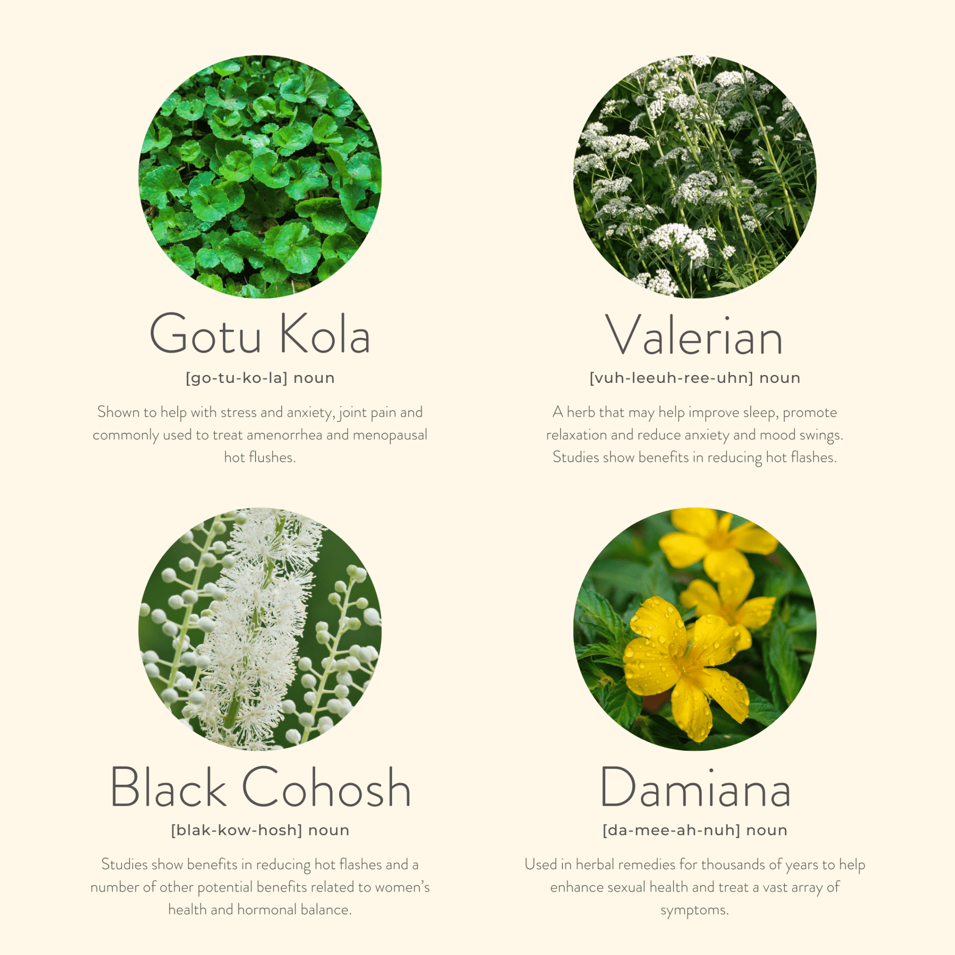 Menopause Balance Patches - Herbalshire Handmade Herbal Products