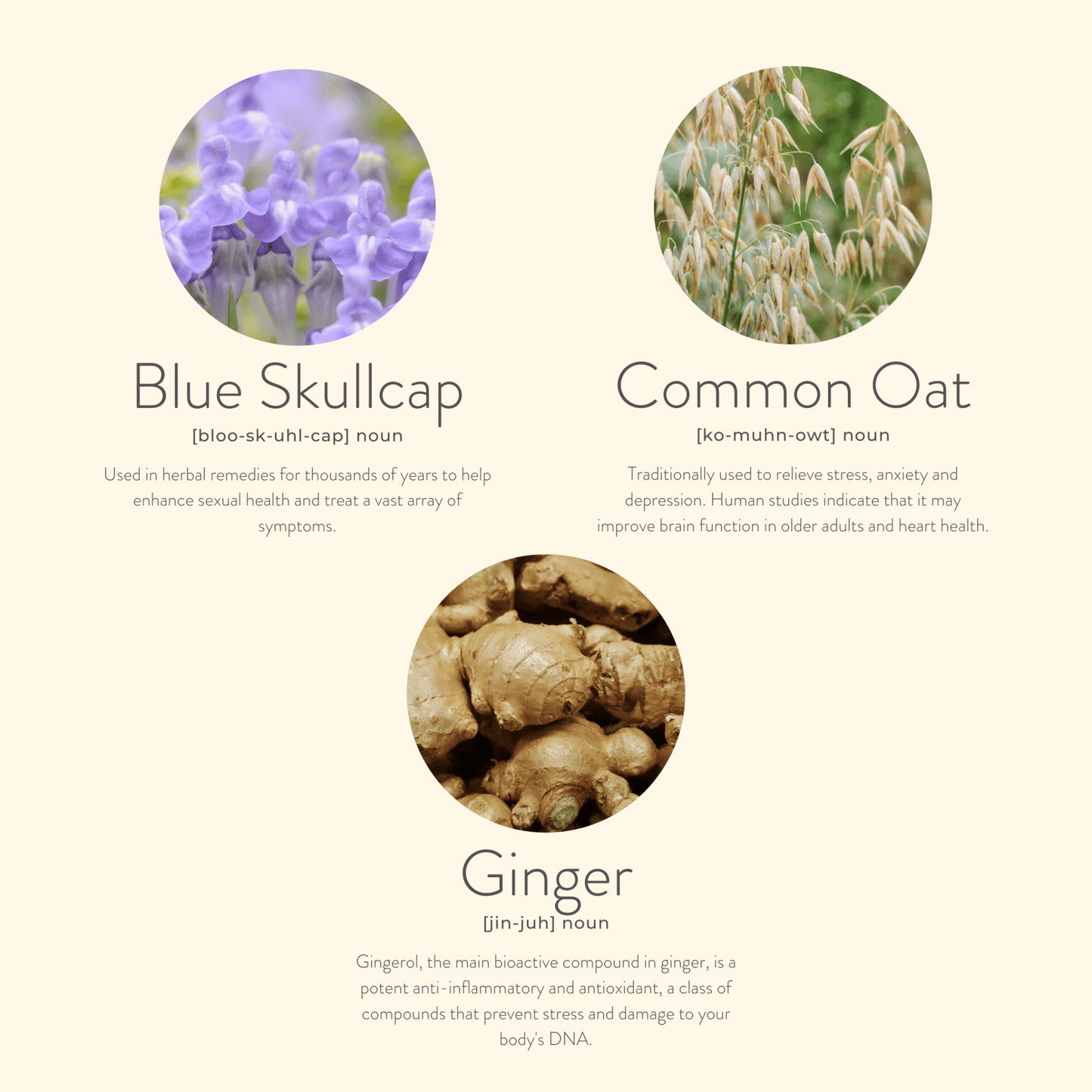 Menopause Balance Patches - Herbalshire Handmade Herbal Products