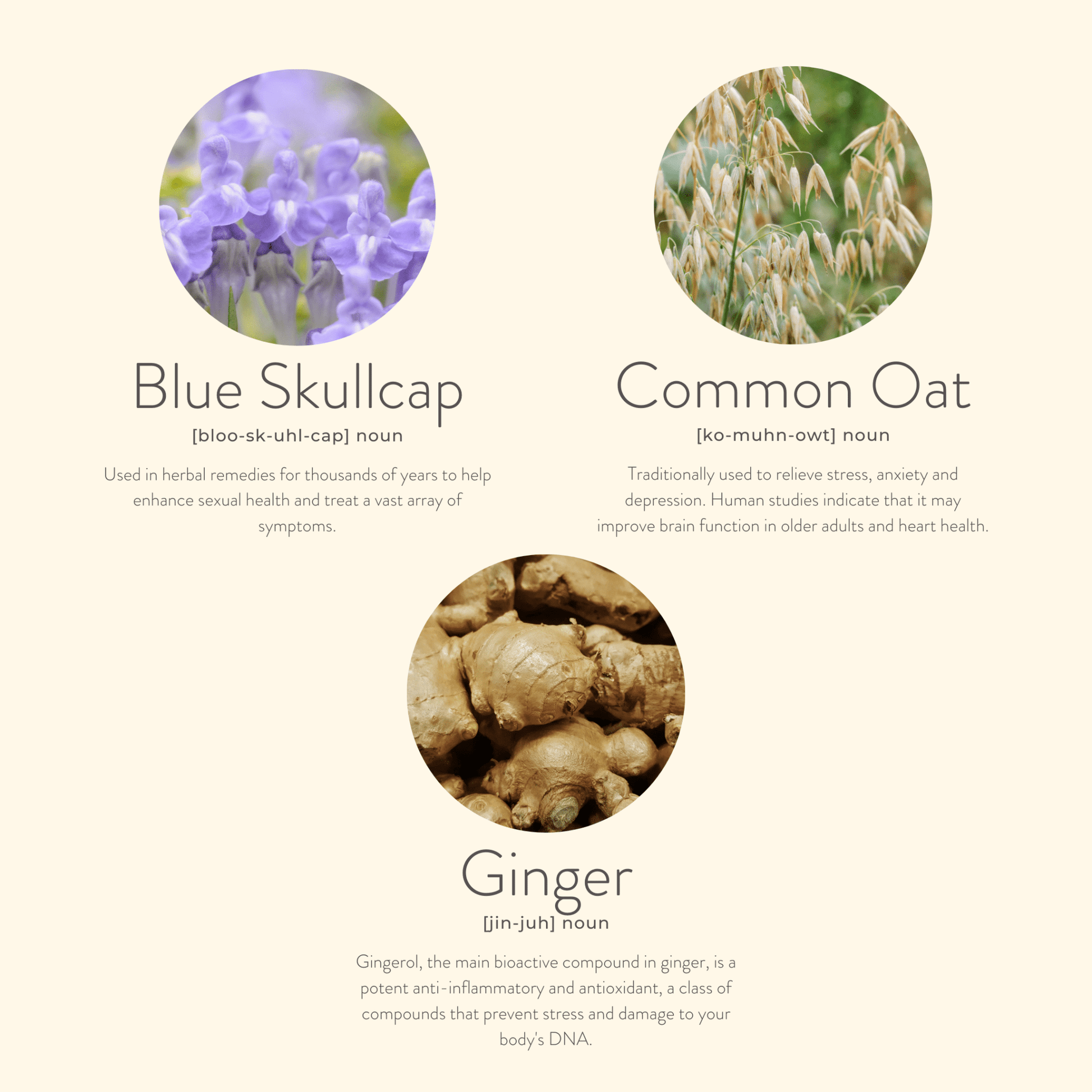 Menopause Balance Patches - Herbalshire Handmade Herbal Products