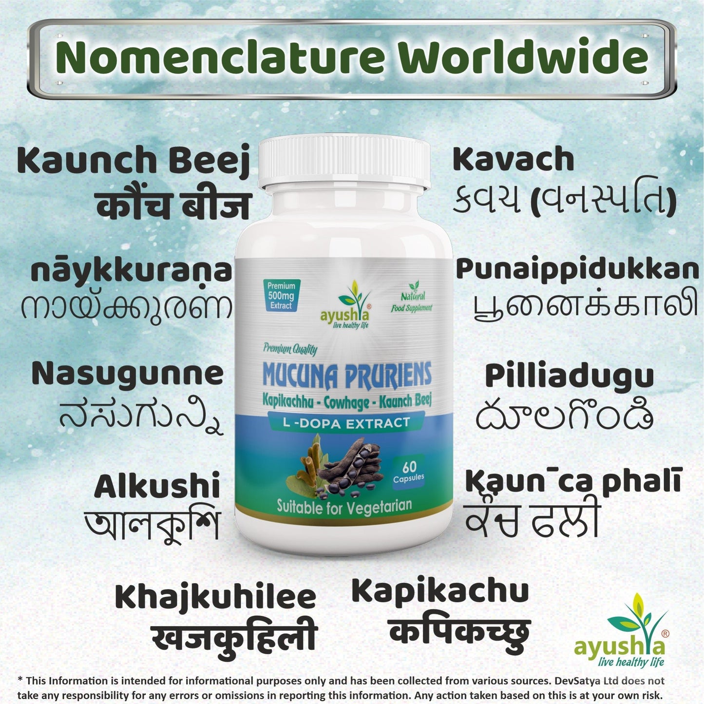 Mucuna Pruriens Capsule - Herbalshire Handmade Herbal Products