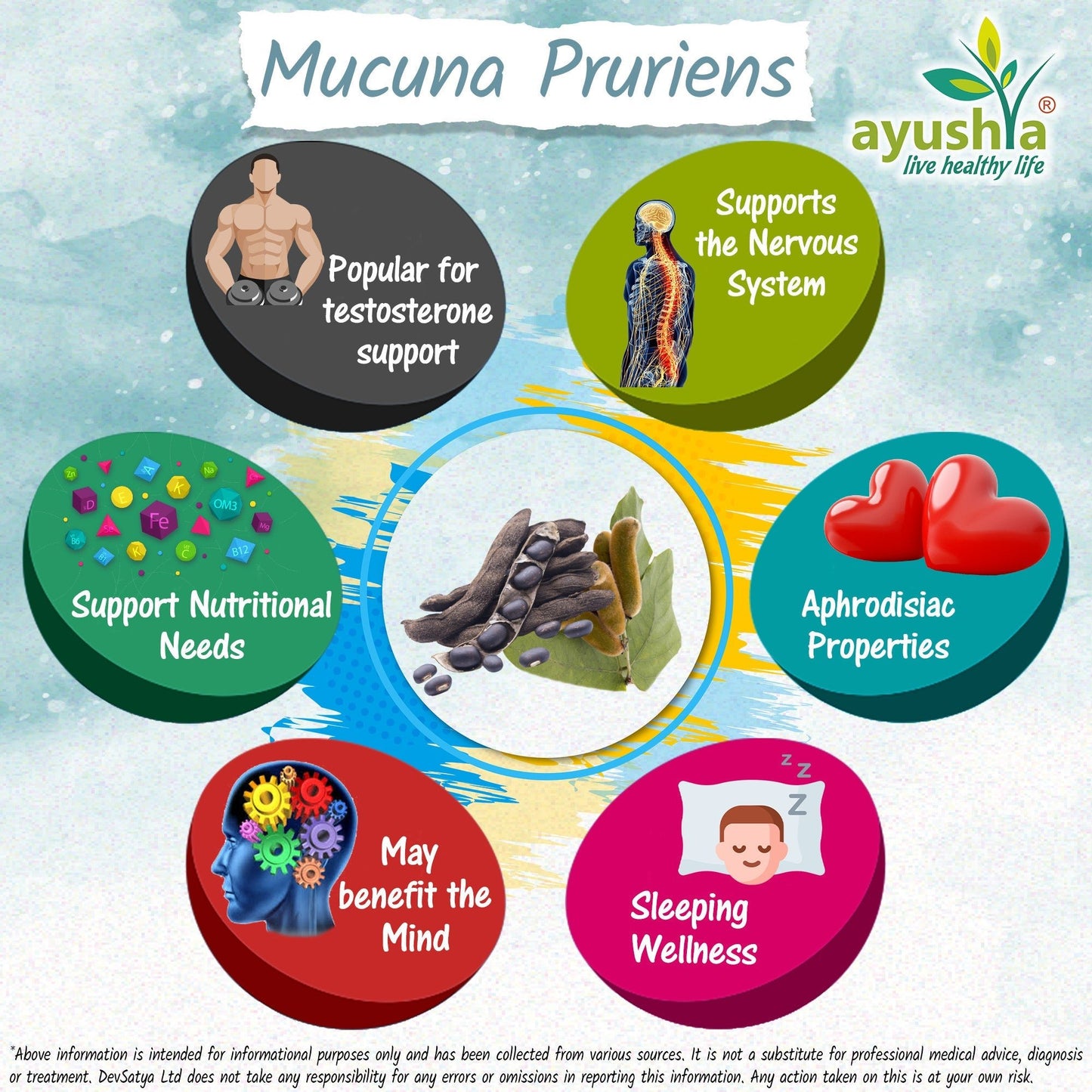 Mucuna Pruriens Capsule - Herbalshire Handmade Herbal Products
