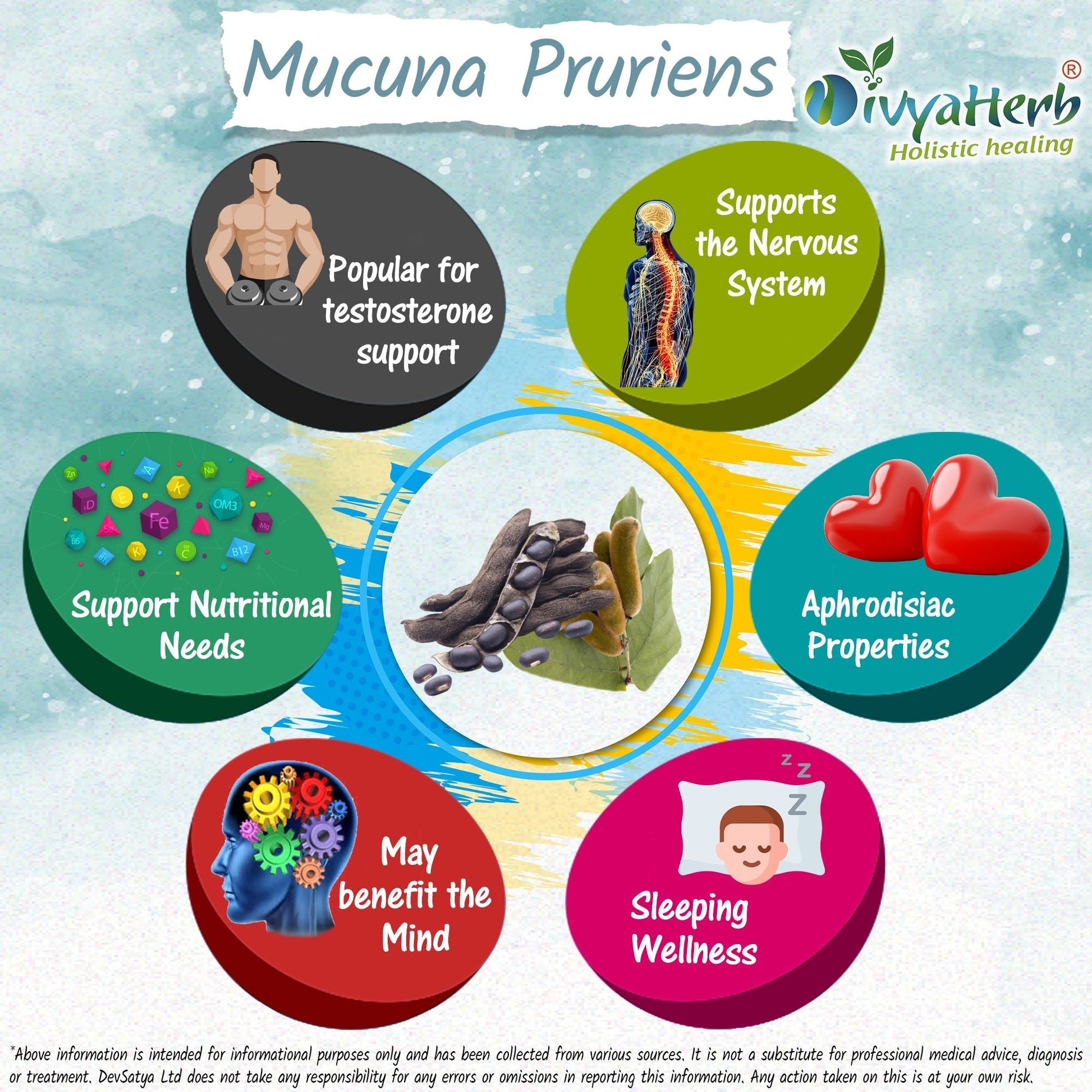 Mucuna Pruriens Powder - Herbalshire Handmade Herbal Products