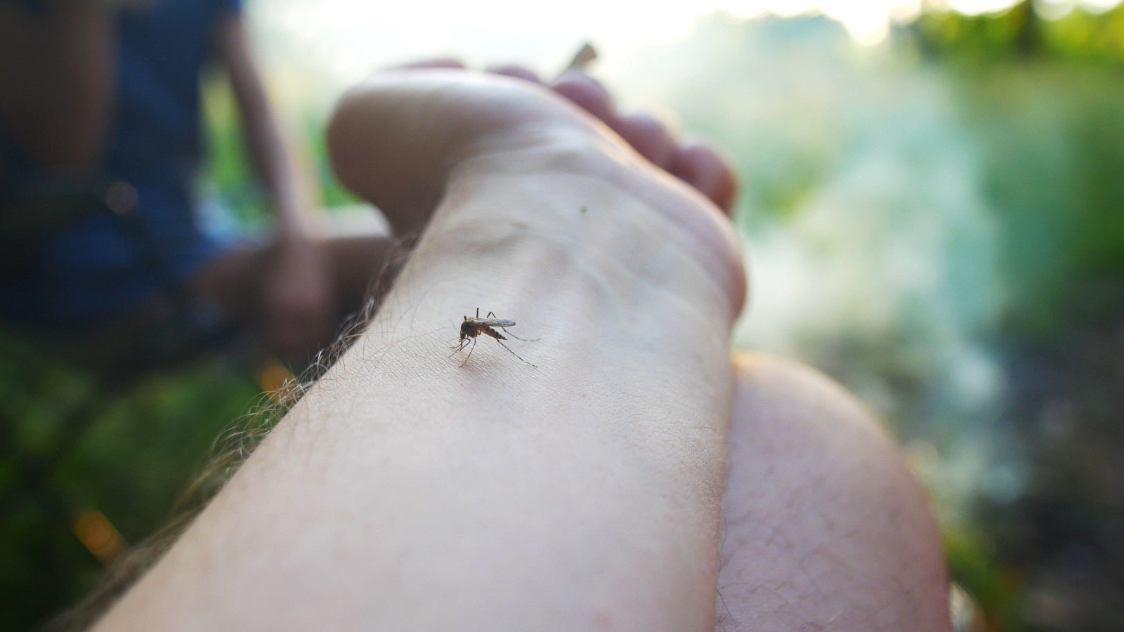 Natural Insect Repellent Bug Oil 100–500ml DEET Free Mosquito Midge Massage Rub - Herbalshire Handmade Herbal Products