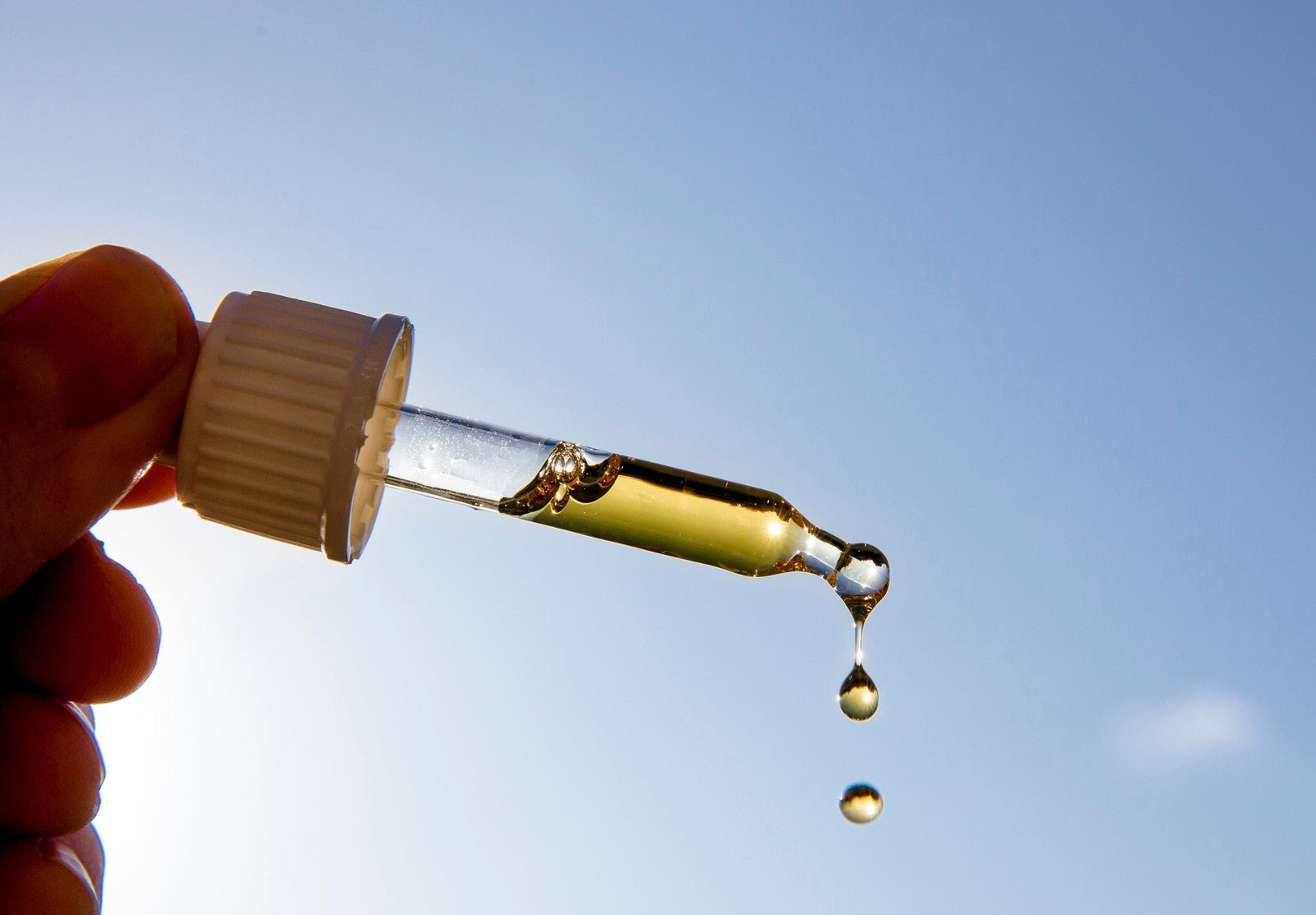 Natural Neem Dog Shampoo Bar 200g Solid Shampoo Bar Made Neem Extracts Gentle E - Herbalshire Handmade Herbal Products