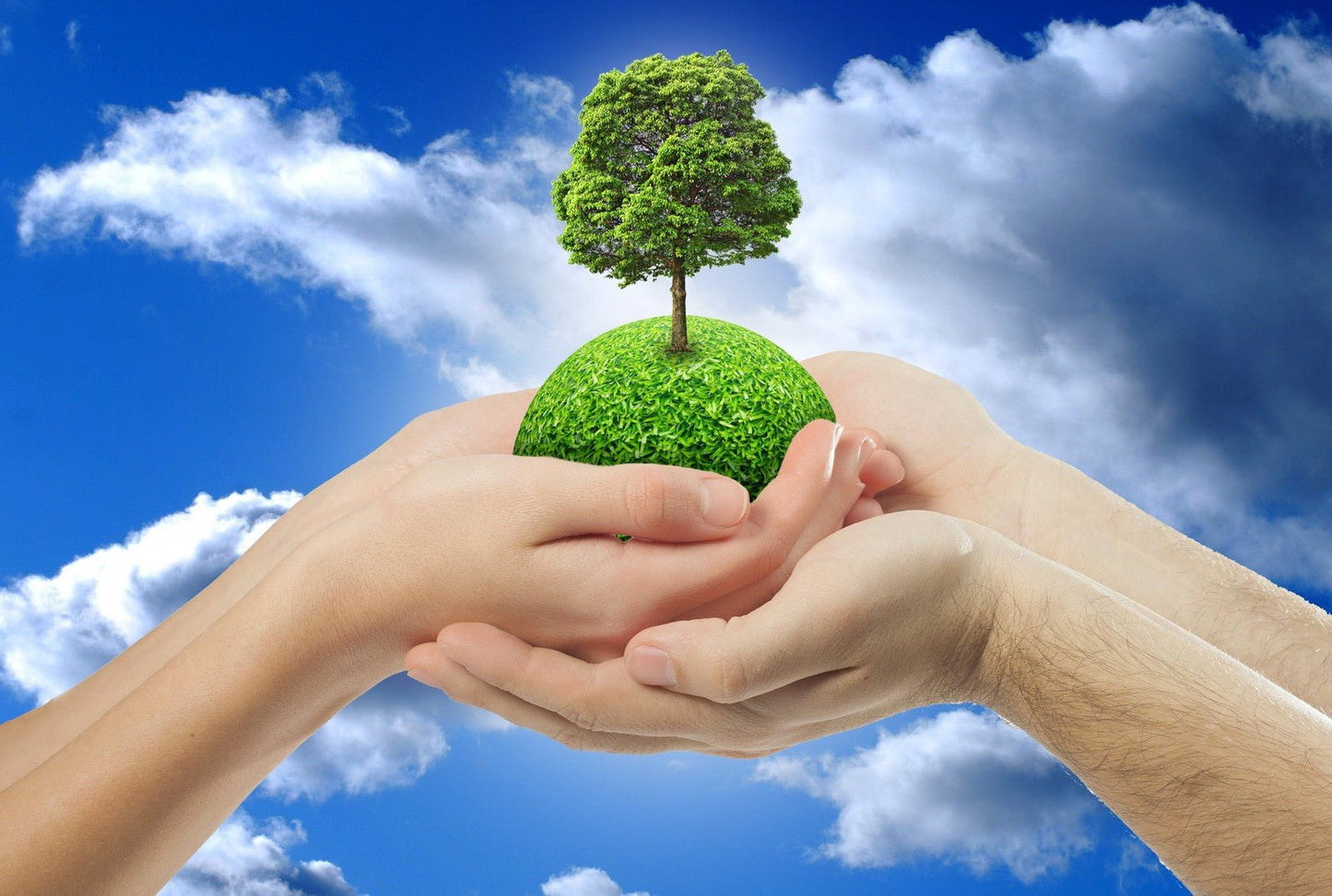 Natural Neem Dog Shampoo Bar 200g Solid Shampoo Bar Made Neem Extracts Gentle E - Herbalshire Handmade Herbal Products