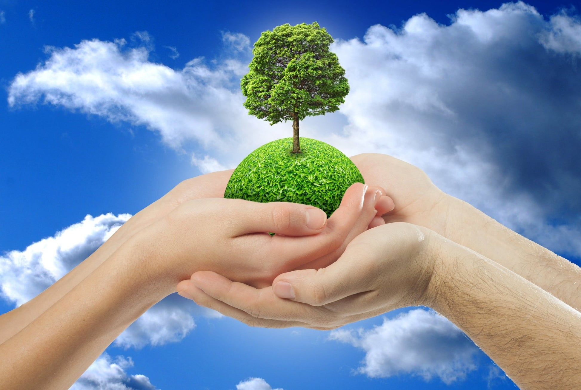 Natural Neem Dog Shampoo Bar 200g Solid Shampoo Bar Made Neem Extracts Gentle E - Herbalshire Handmade Herbal Products