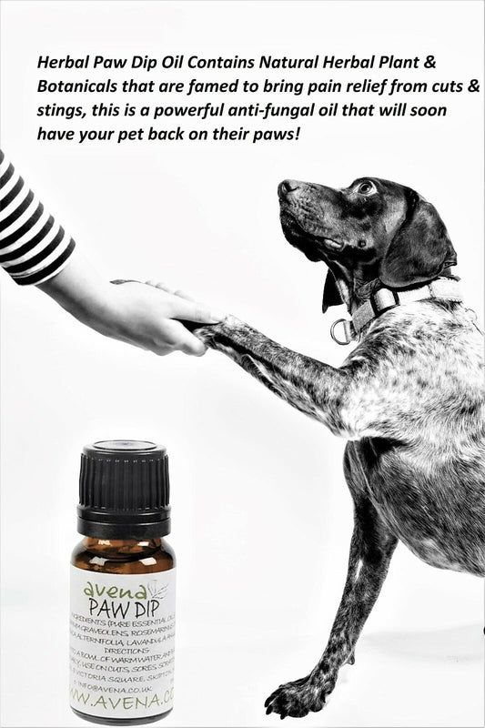 Natural Paw Dip - Essential Oil Blend for Minor Paw Problems - 10ml - Herbalshire Handmade Herbal Products