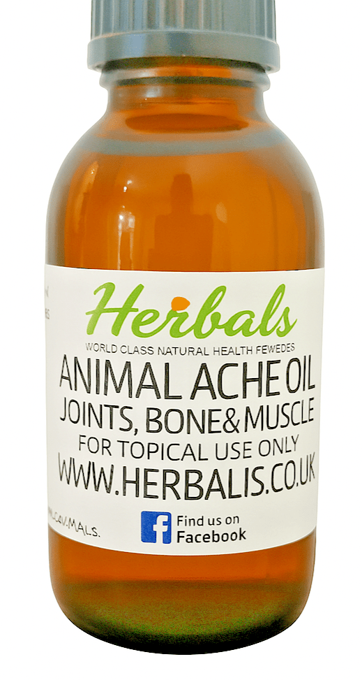Natural Pet Pain Relief Oil for Dogs & Cats – Herbal Joint, Muscle & Arthritis - Herbalshire Handmade Herbal Products