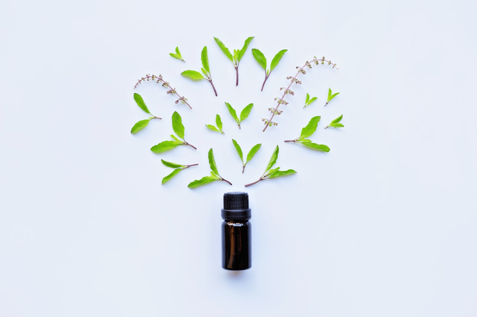 Natural Pet Pain Relief Oil for Dogs & Cats – Herbal Joint, Muscle & Arthritis - Herbalshire Handmade Herbal Products