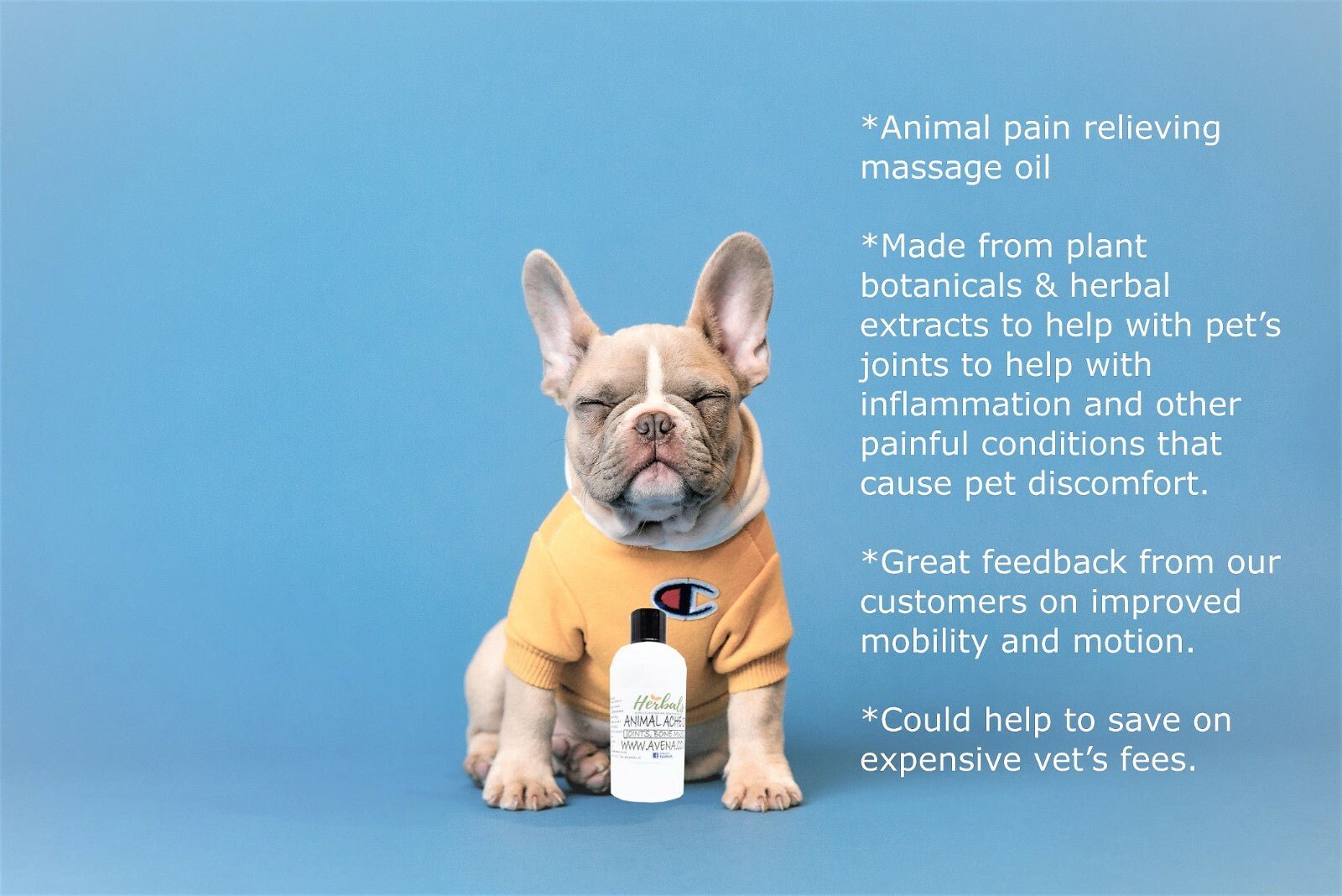 Natural Pet Pain Relief Oil for Dogs & Cats – Herbal Joint, Muscle & Arthritis - Herbalshire Handmade Herbal Products