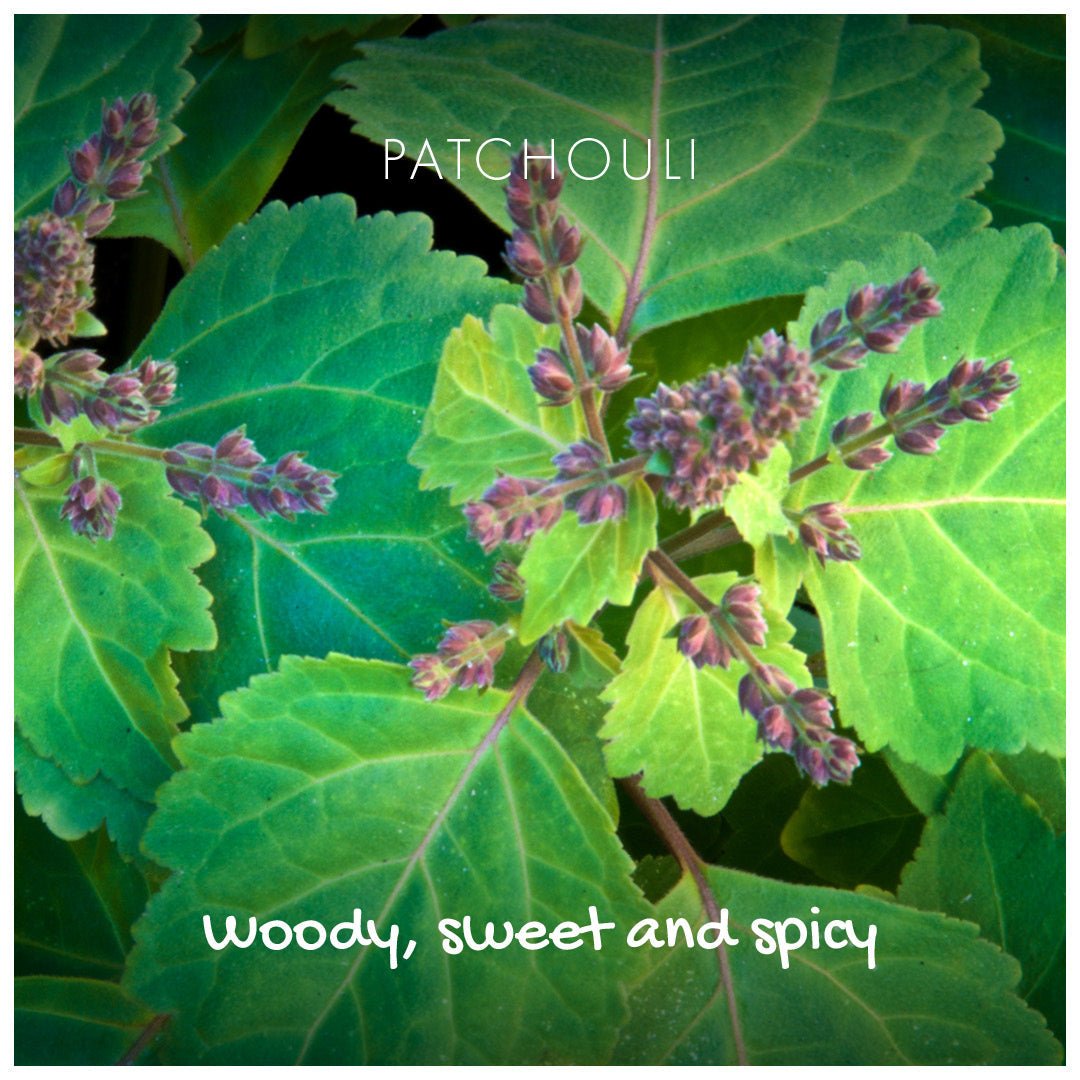 Natural Soap On A Rope - 'Woody' Patchouli & Sandalwood 125g - Herbalshire Handmade Herbal Products