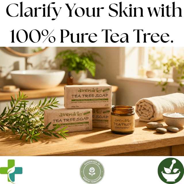 Natural Tea Tree Antiseptic Soap & Ointment Gift Set | Handmade in UK | Herbalshire - Herbalshire Handmade Herbal Products